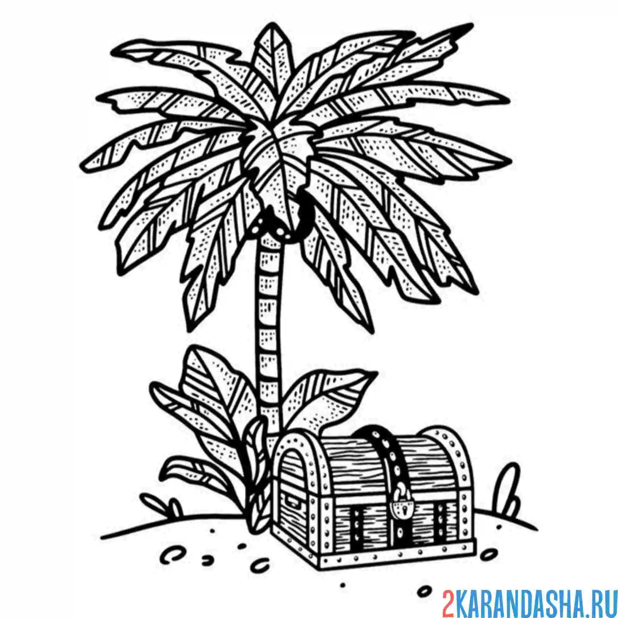 Раскраска сундук с золотом и пальма