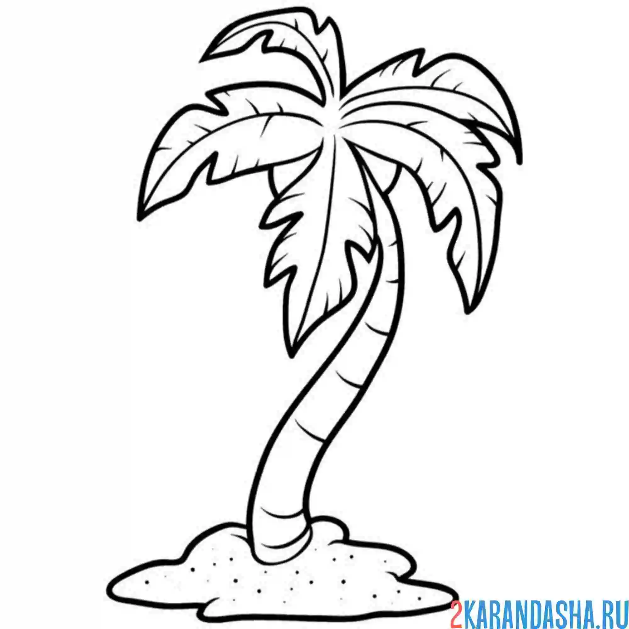 Раскраска пальма на маленьком острове