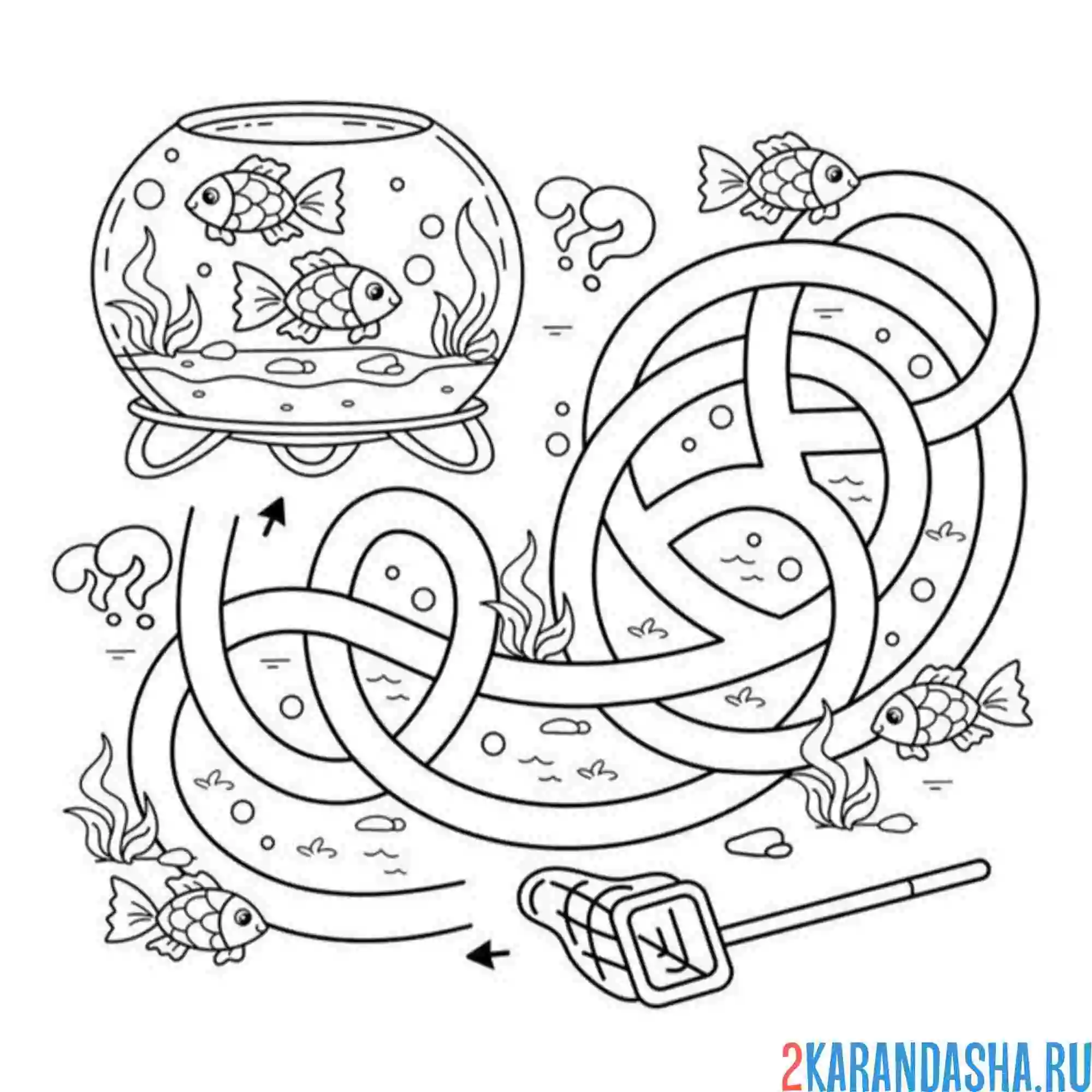 Раскраска лабиринт и аквариум
