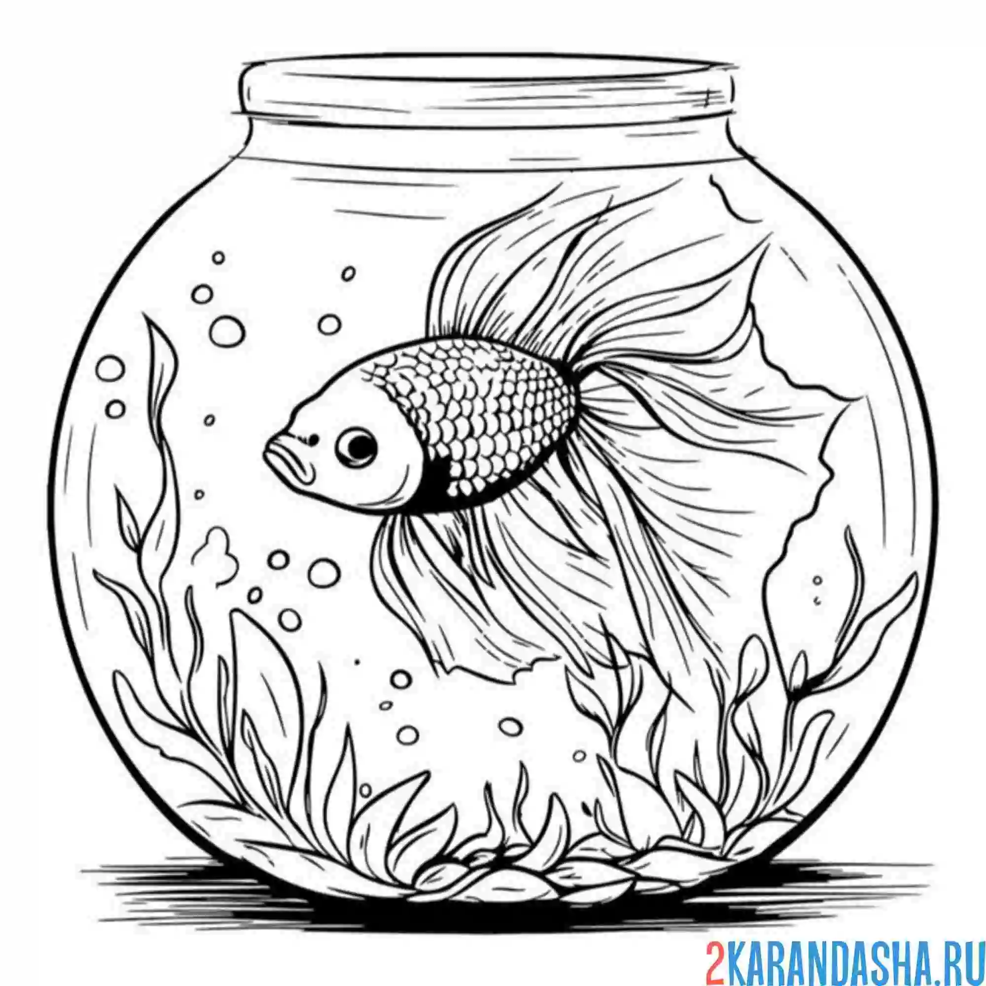Раскраска аквариум с золотой рыбкой
