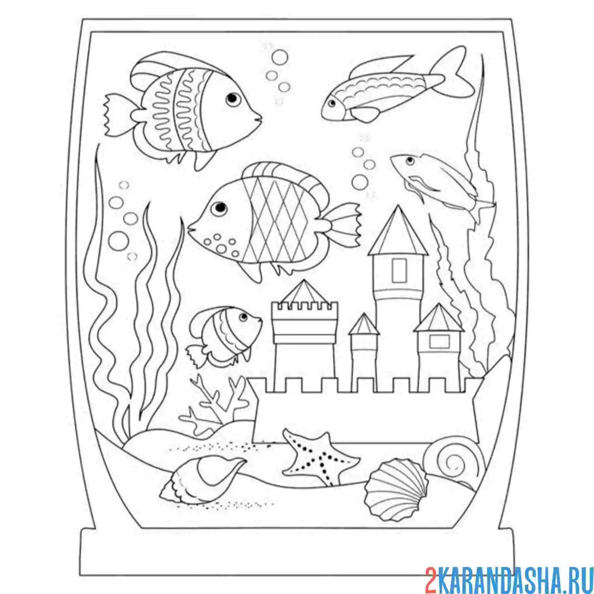 Раскраска аквариум необычной формы