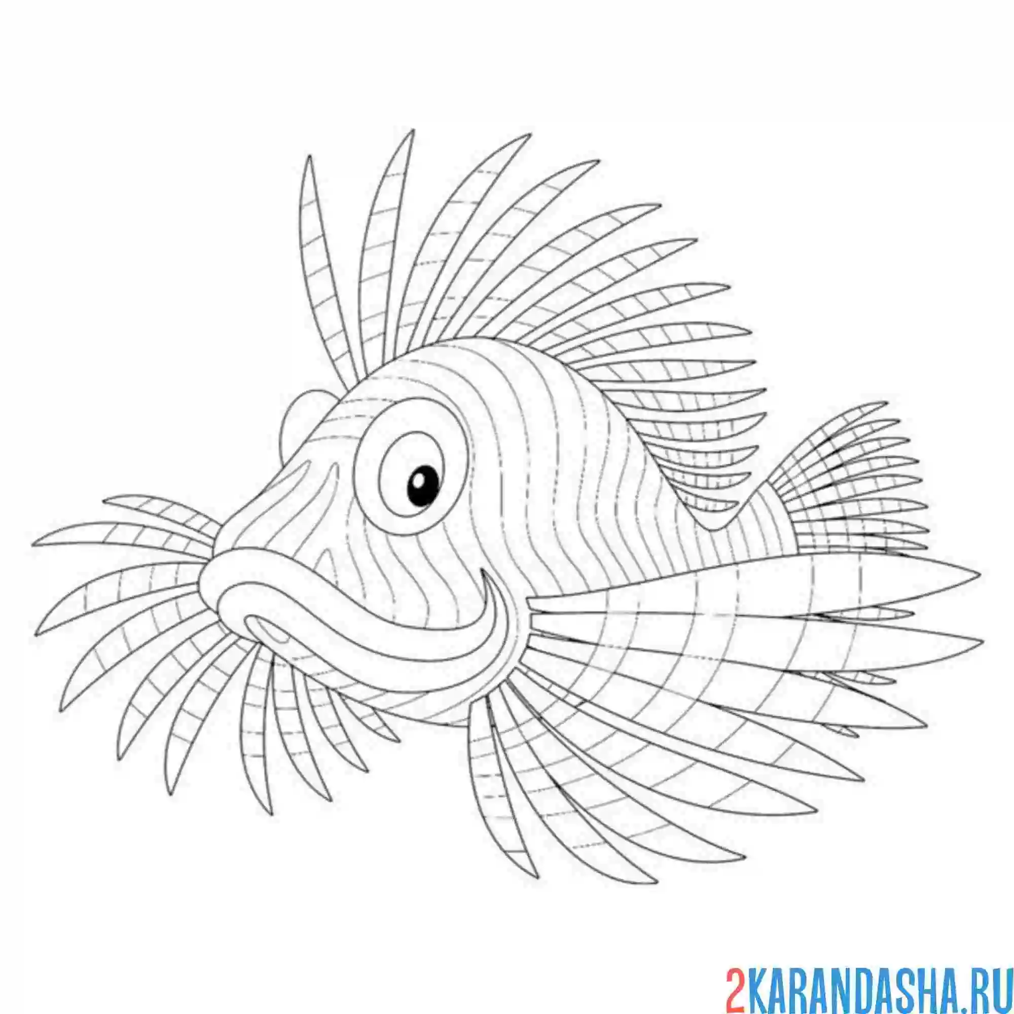 Раскраска крылатка рыбка