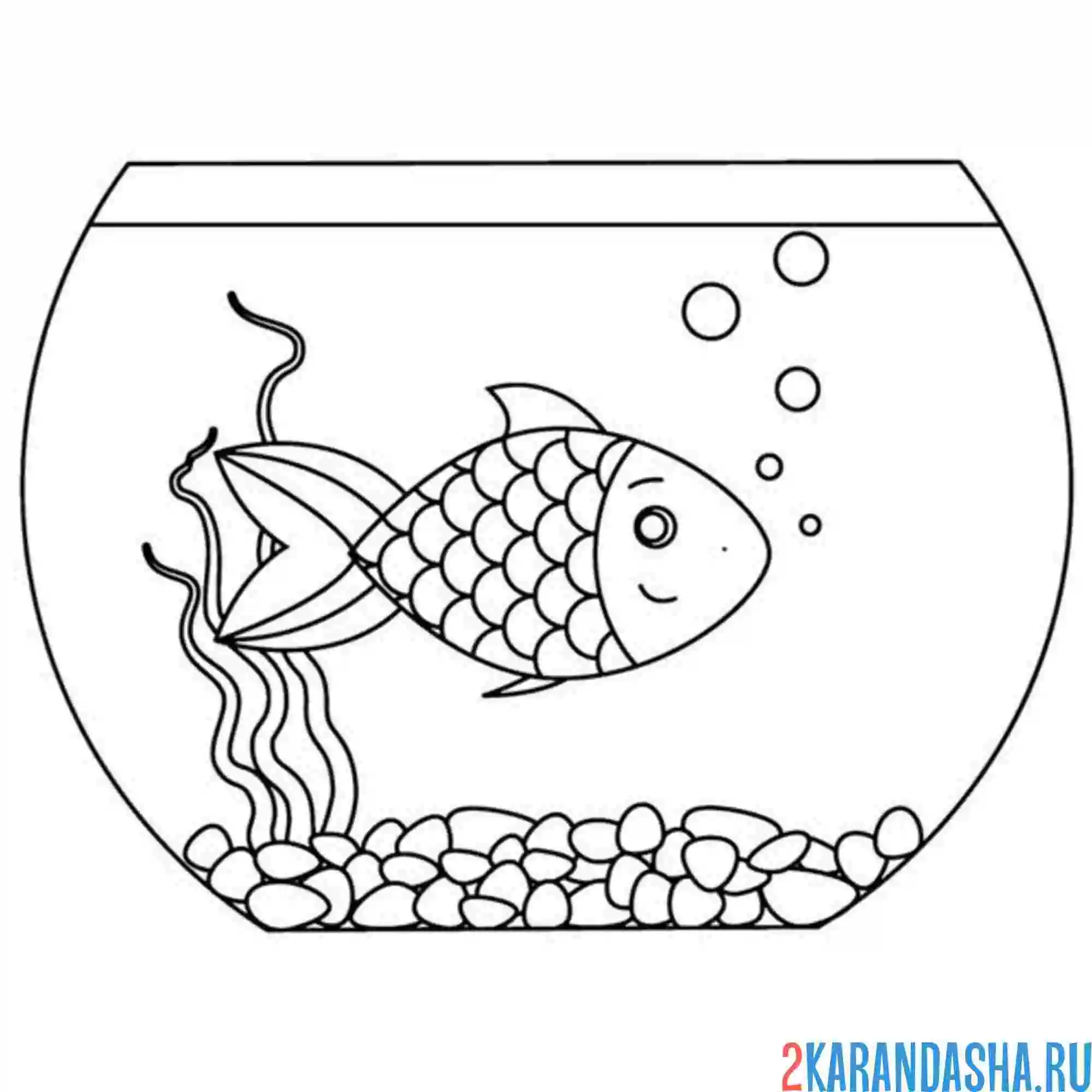Раскраска аквариумная рыбка в аквариуме