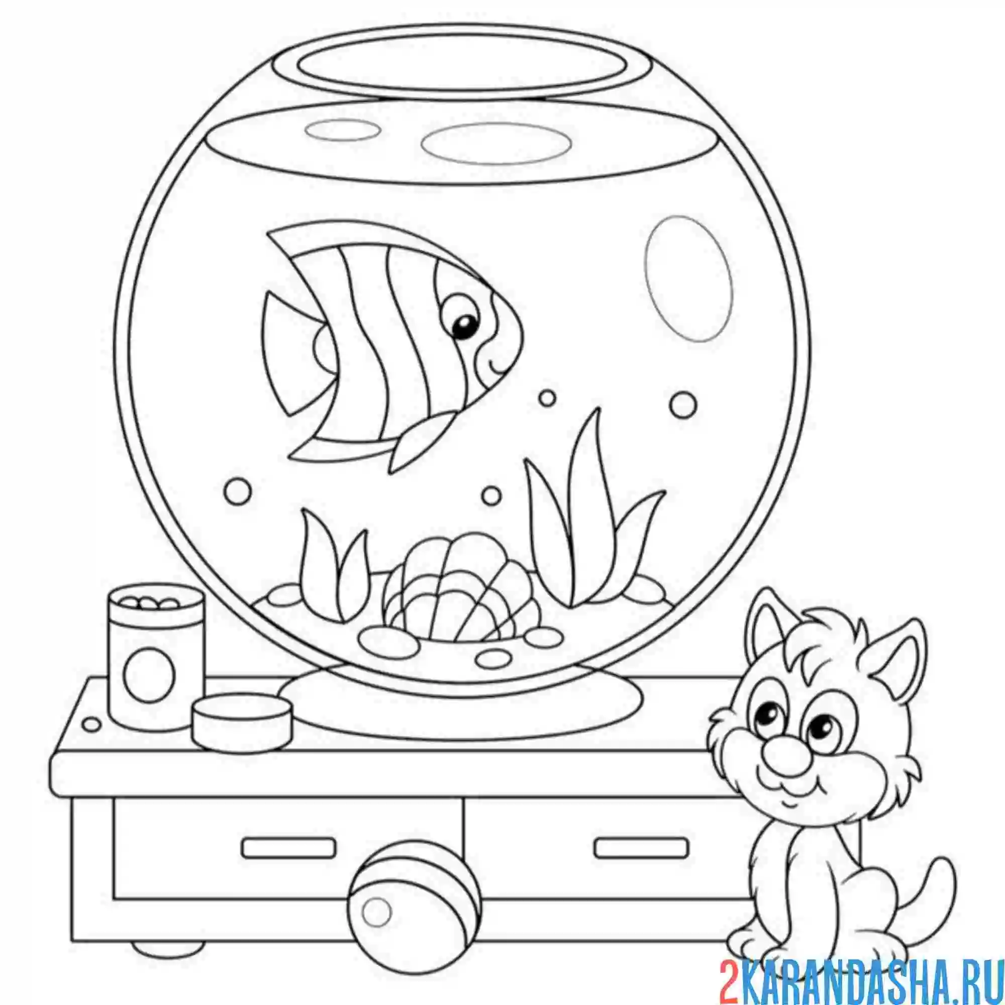 Раскраска котик смотрит на рыбку в аквариуме