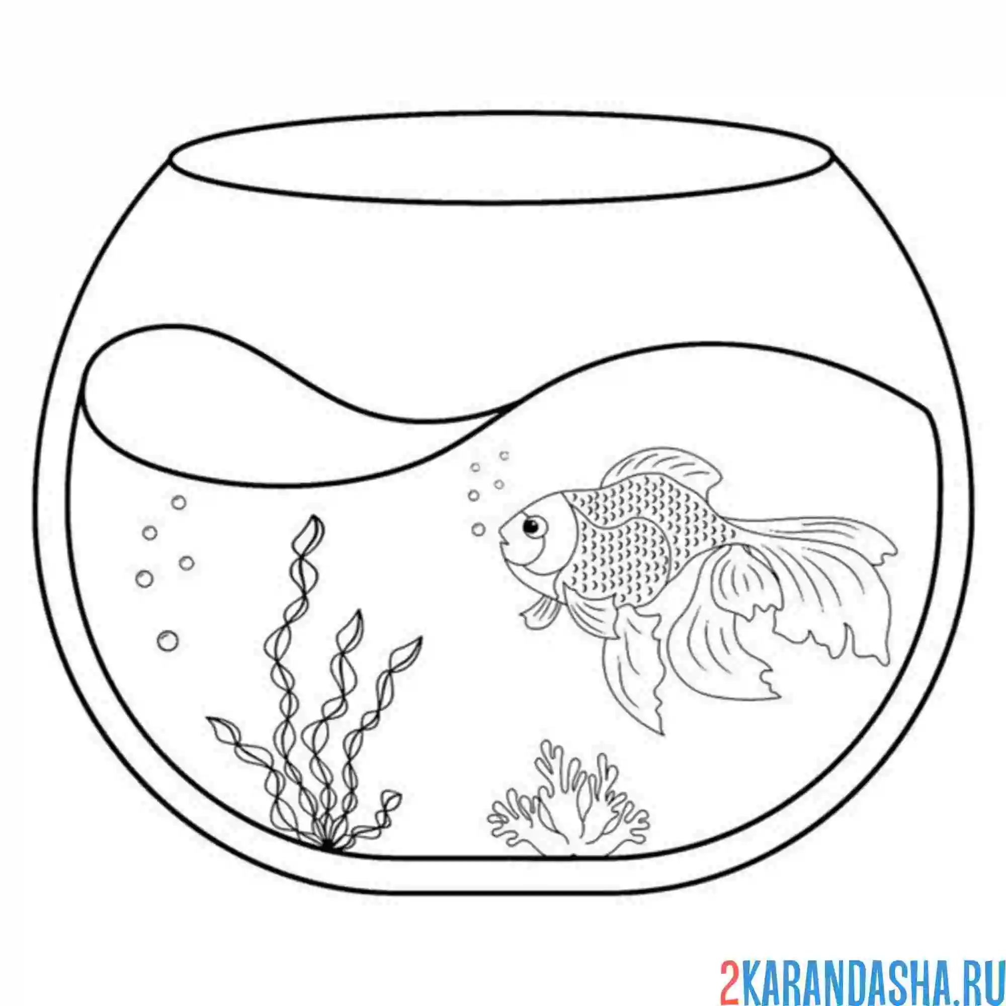 Раскраска рыбка маленькая в аквариуме