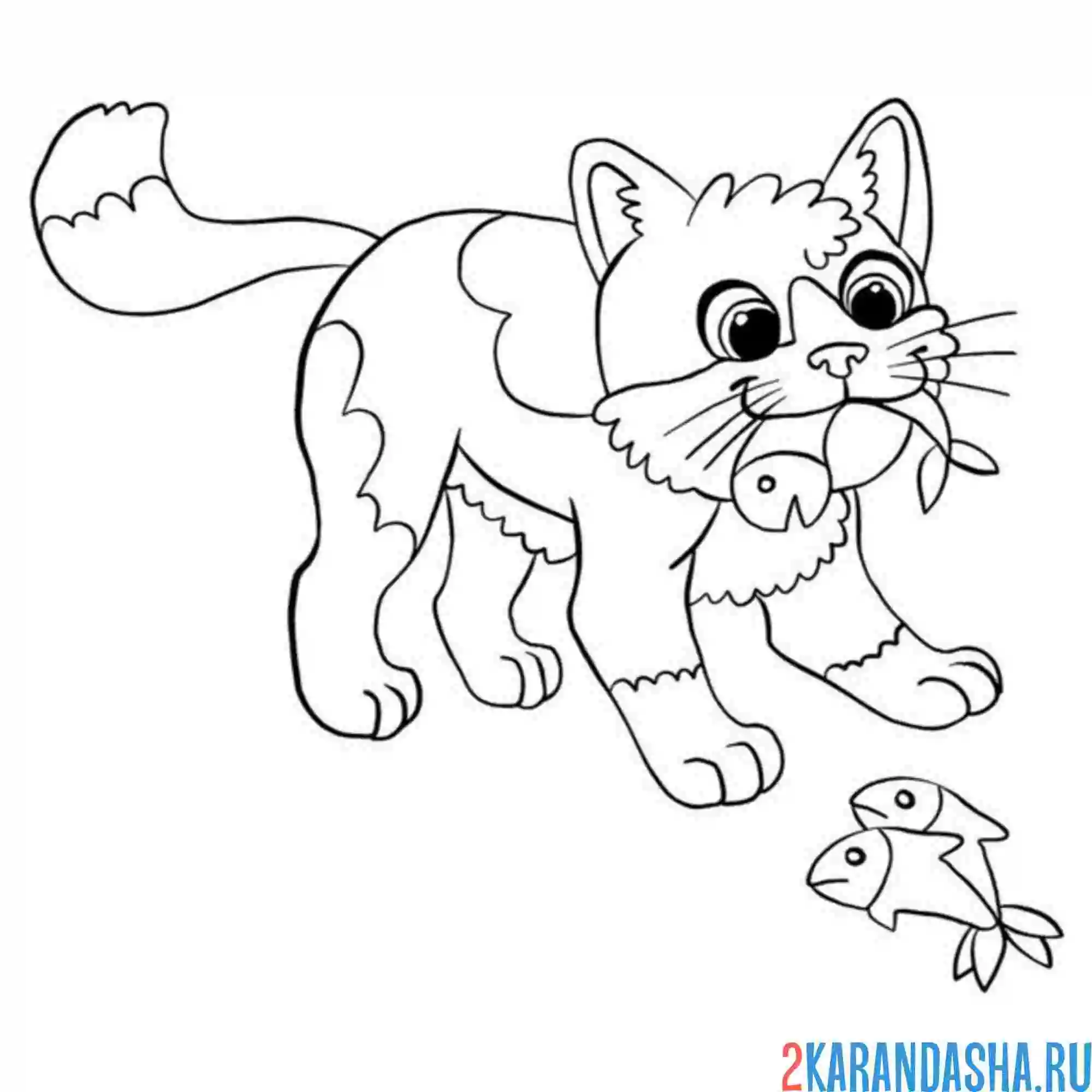 Раскраска котик поймал рыбки