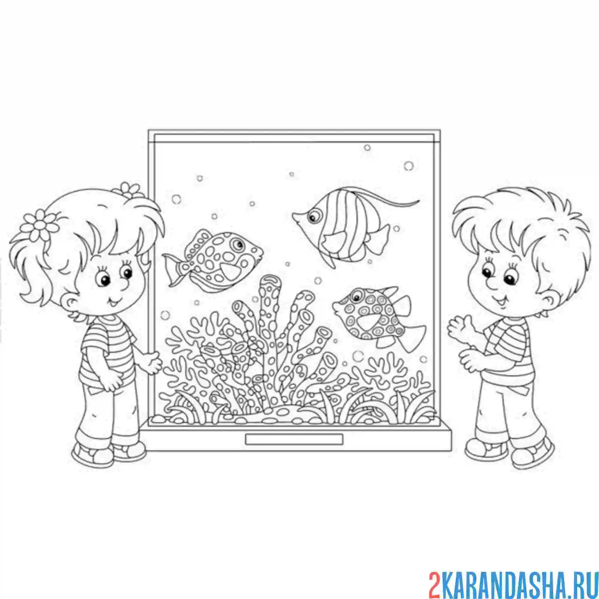 Раскраска ребята смотрят на аквариум
