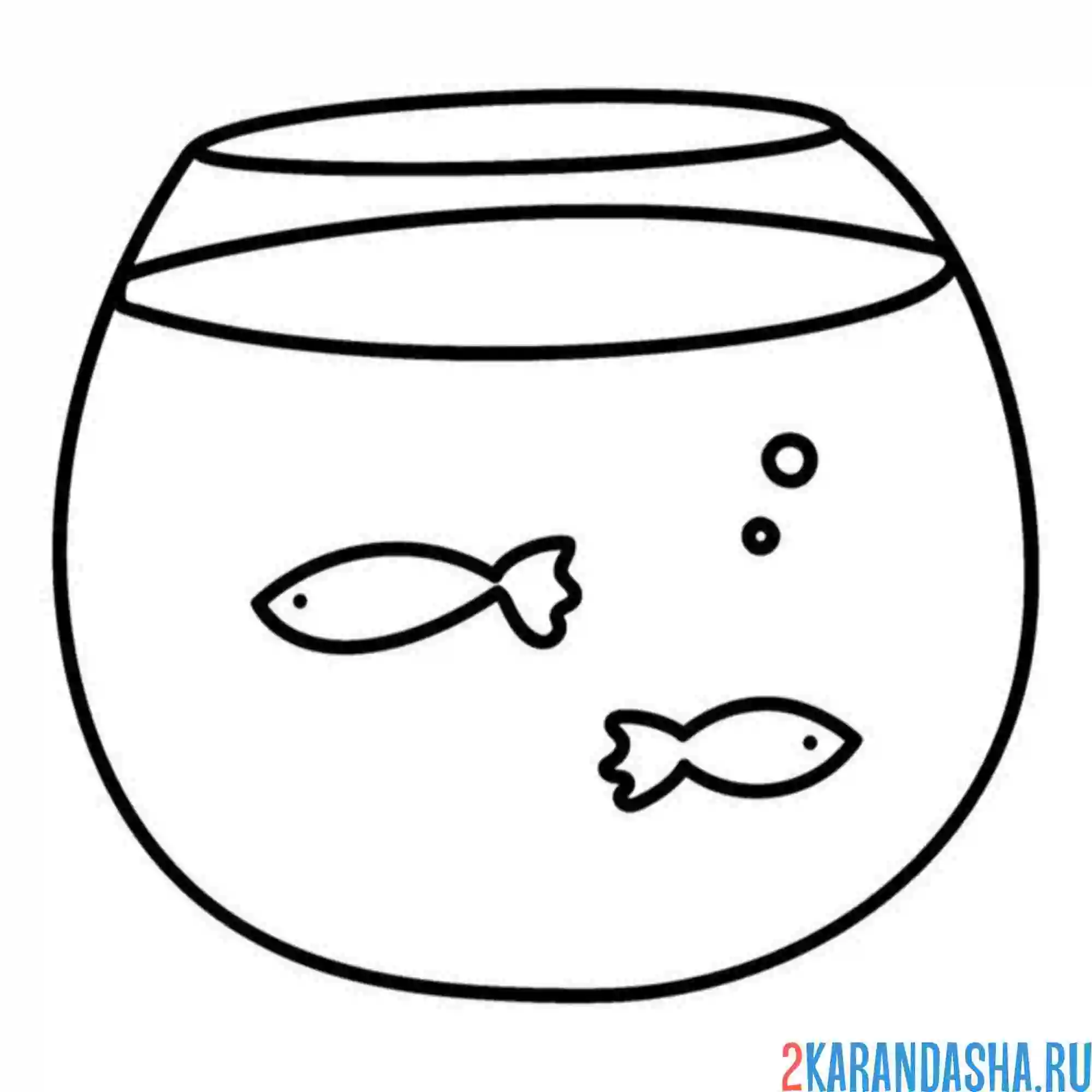 Раскраска две маленькие аквариумные рыбки