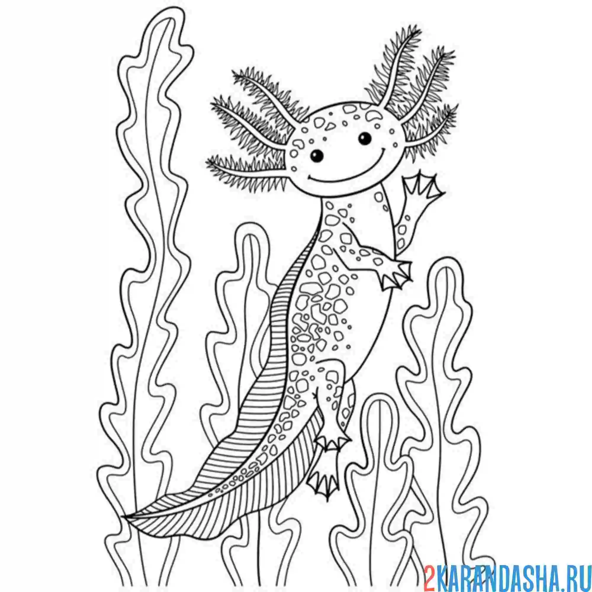 Раскраска аксолотль в водорослях