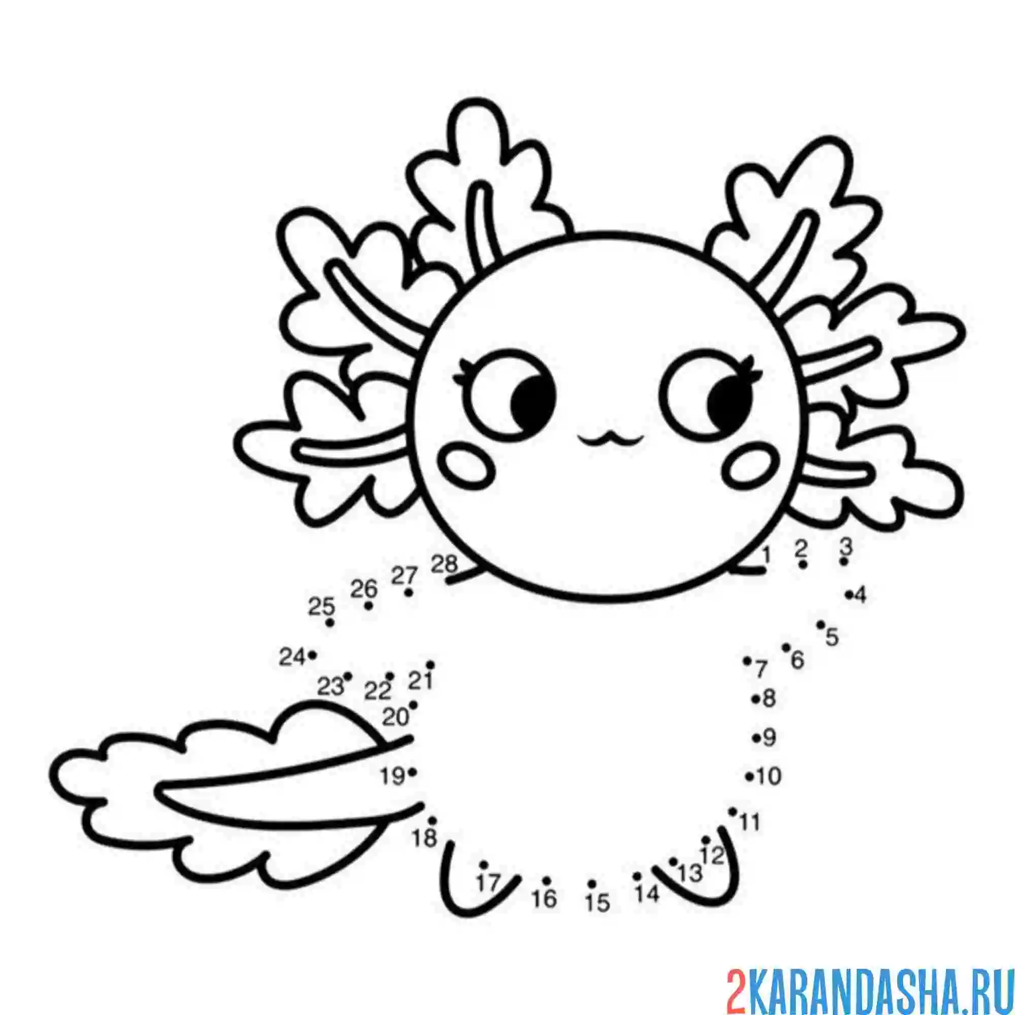 Раскраска аксолотль обведи