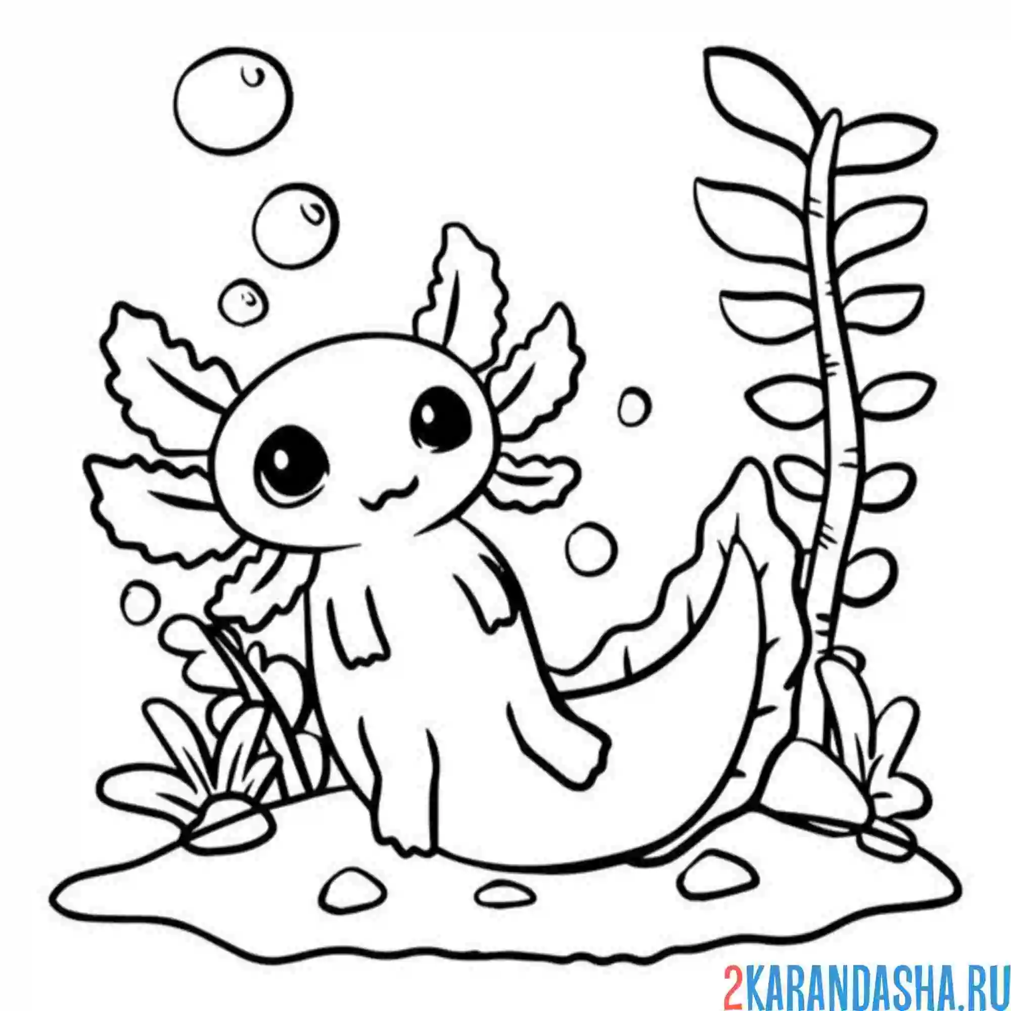 Раскраска аксолотль морской