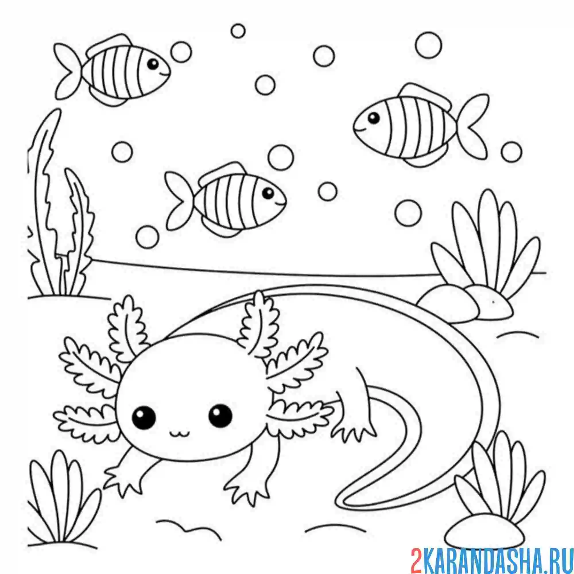 Раскраска аксолотль и рыбка на дне