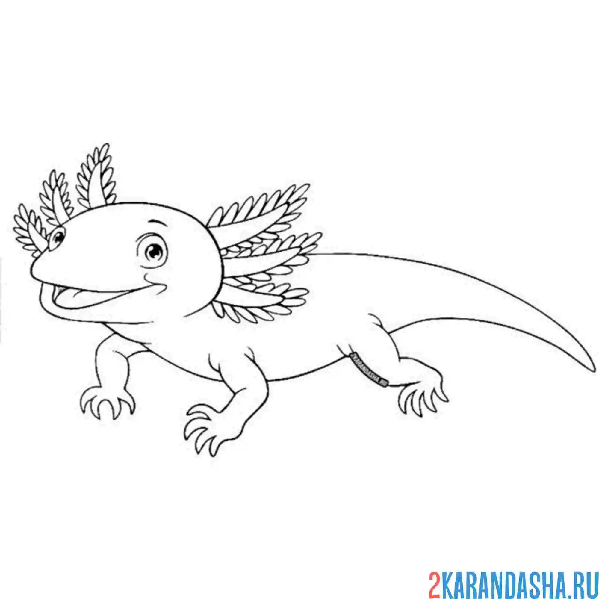 Раскраска аксолотль улыбка милашная