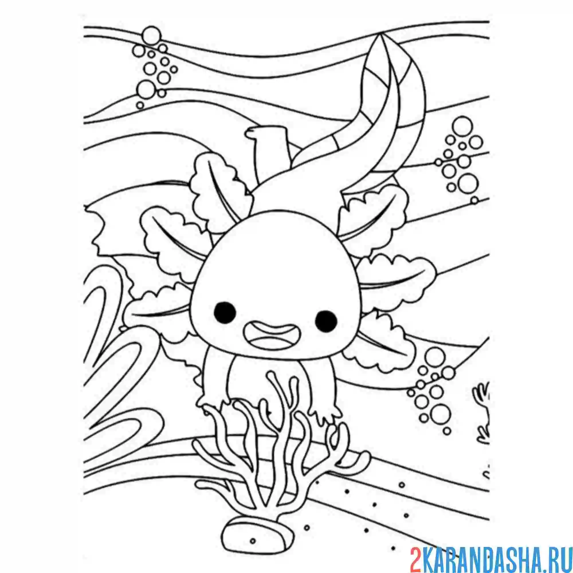 Раскраска аксолотль и кораллы