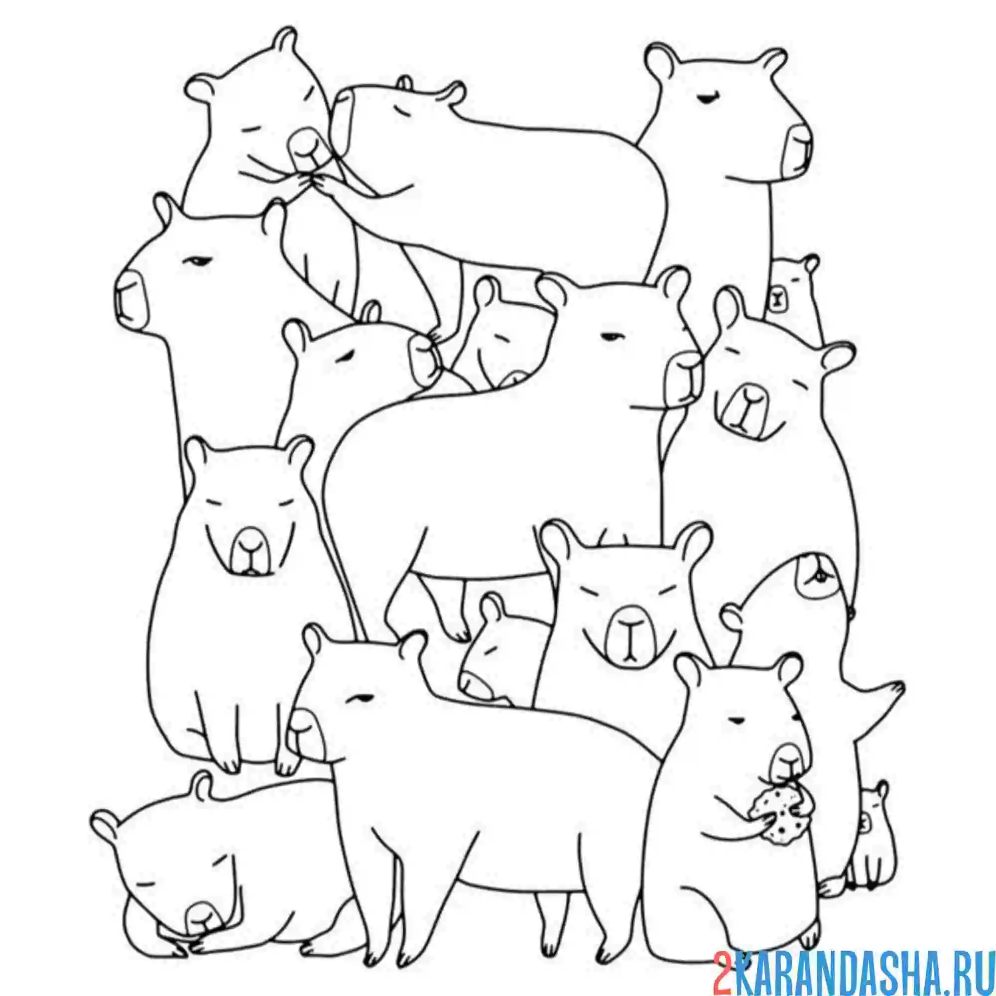 Раскраска капибара фон