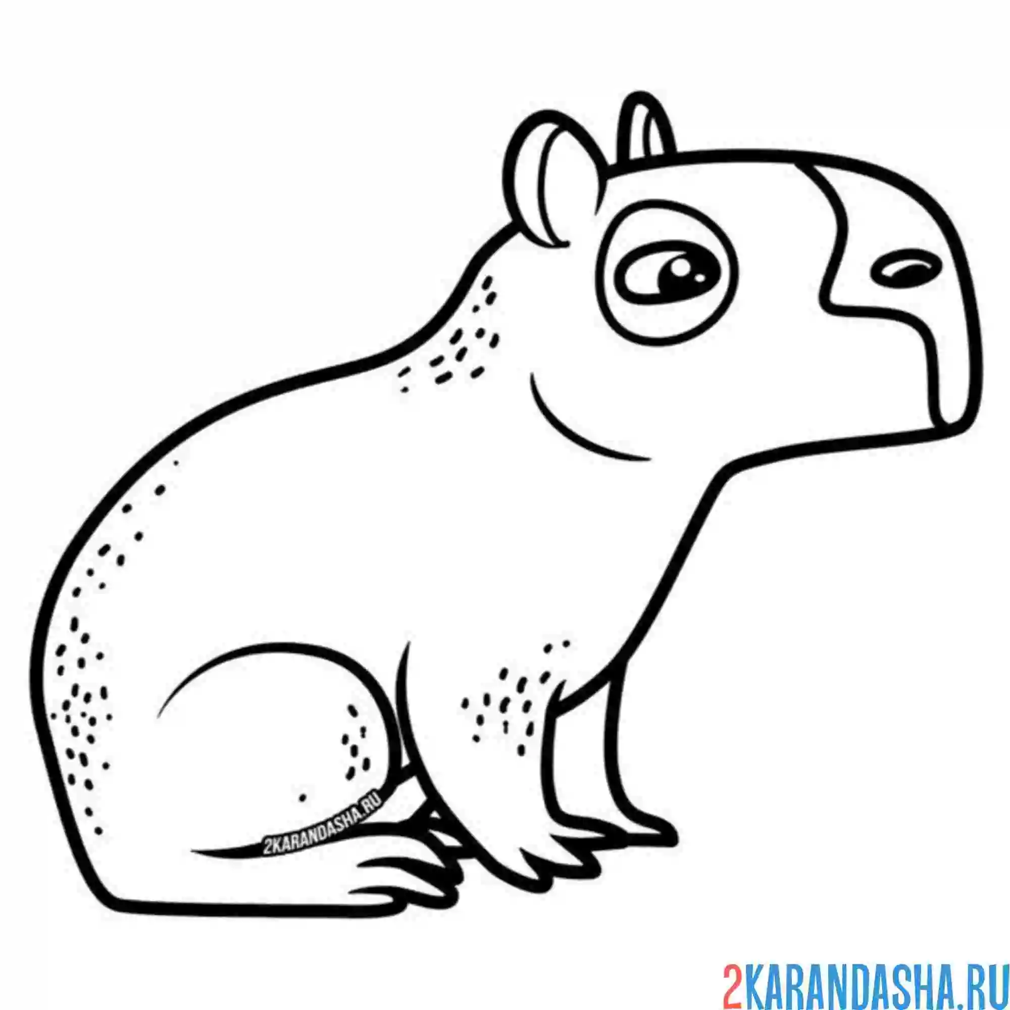 Раскраска капибара животное