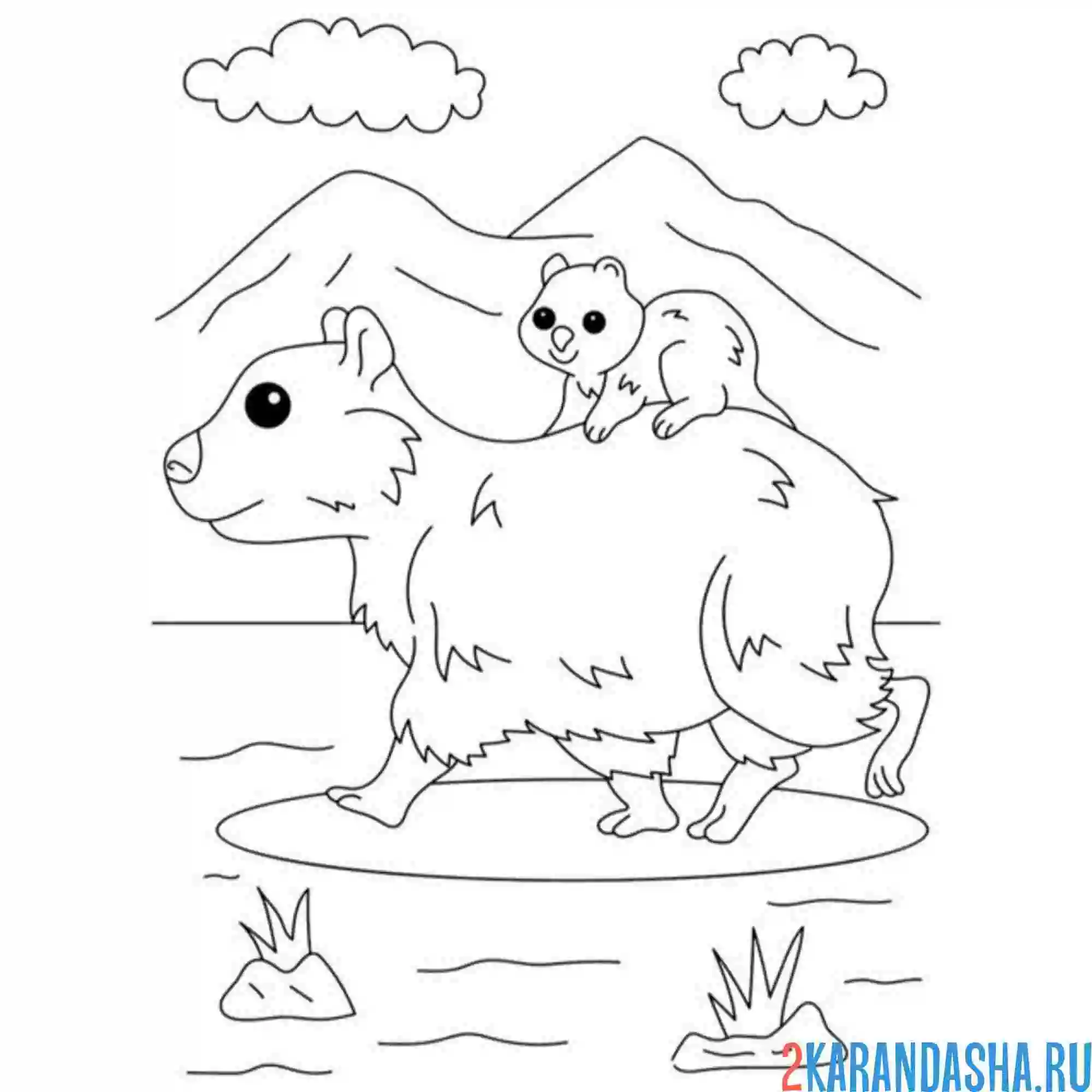 Раскраска капибара мама и малыш