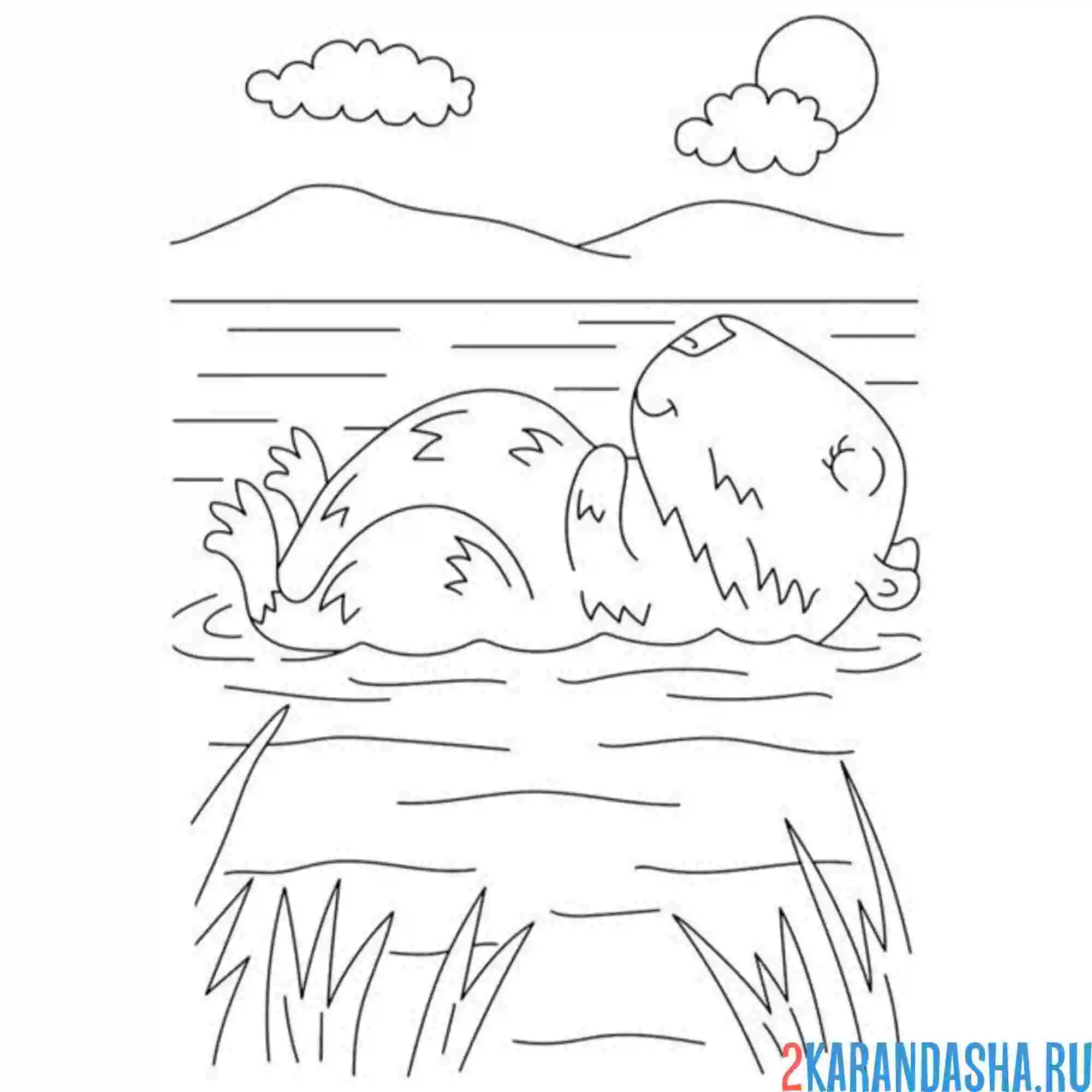 Раскраска капибара плывет на спинке