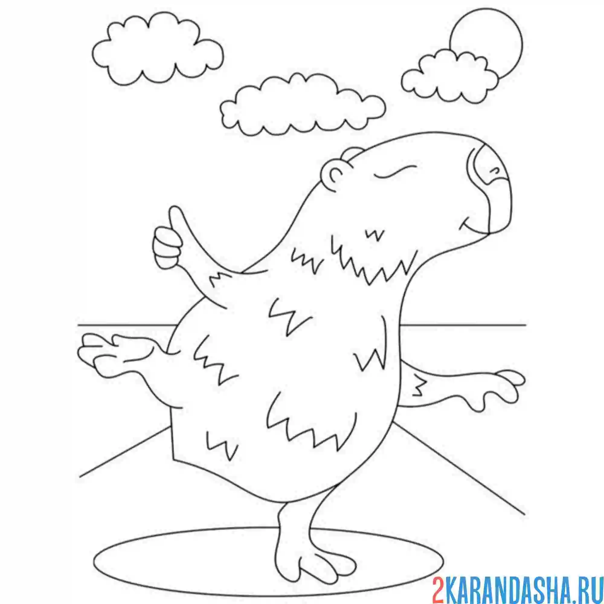 Раскраска капибара йога