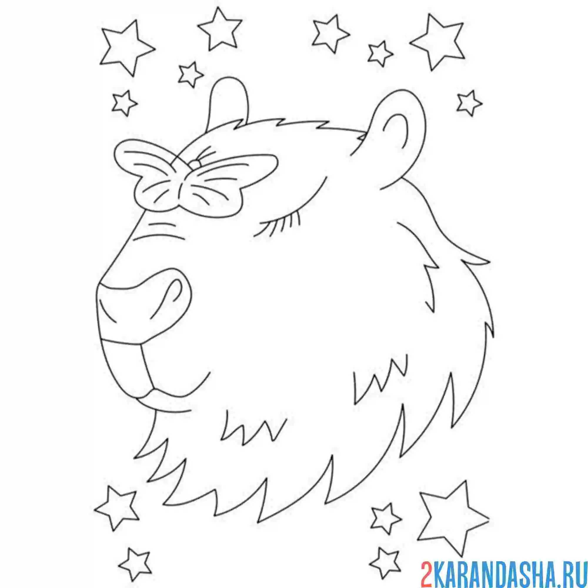 Раскраска капибара с бабочкой