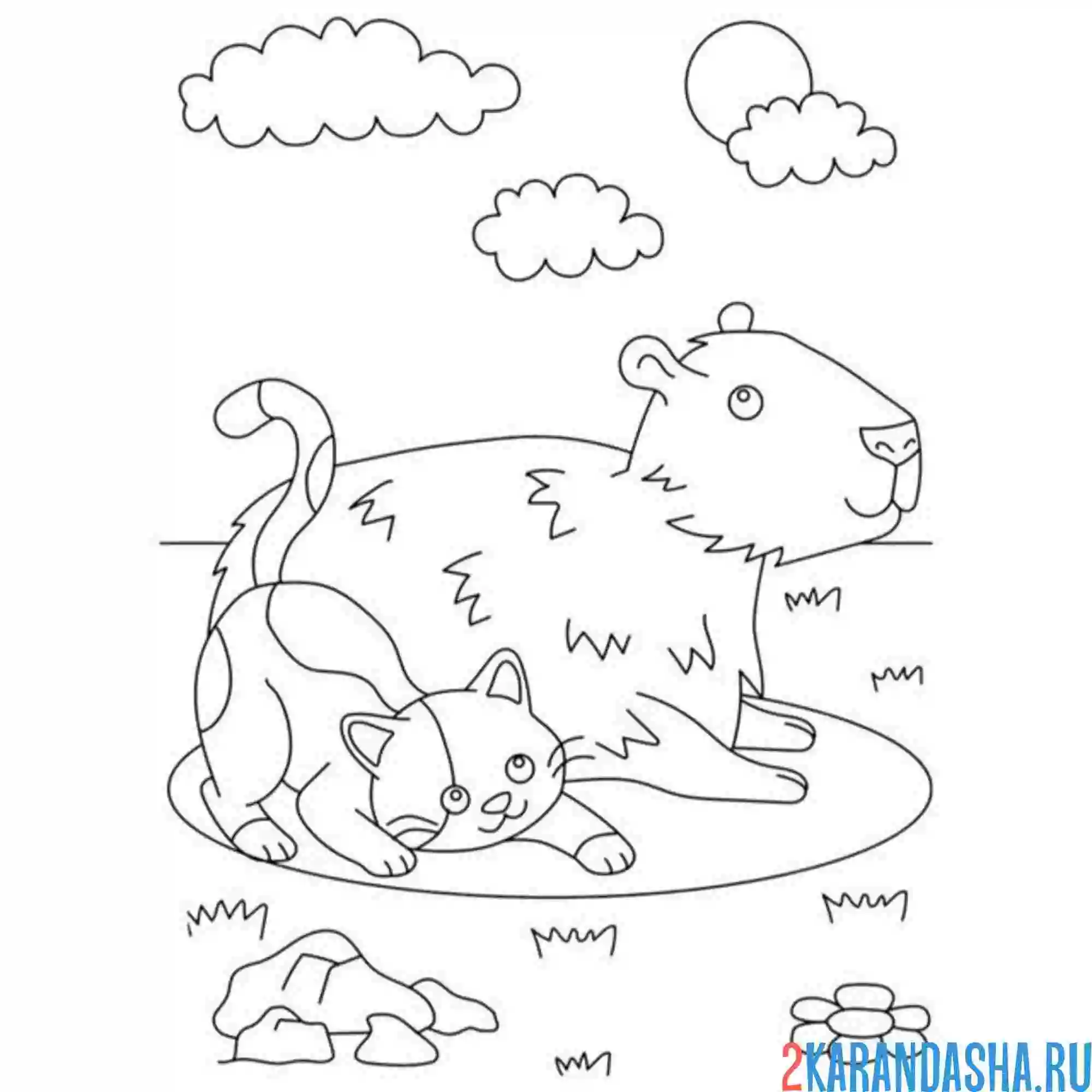 Раскраска капибара и кот