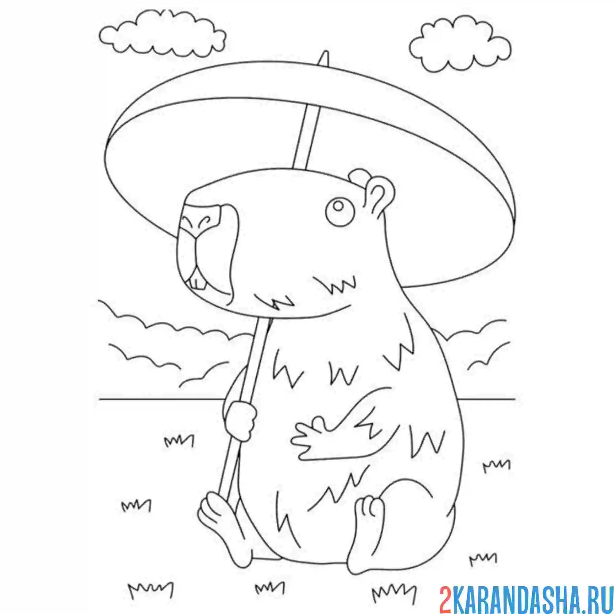 Раскраска капибара под зонтом