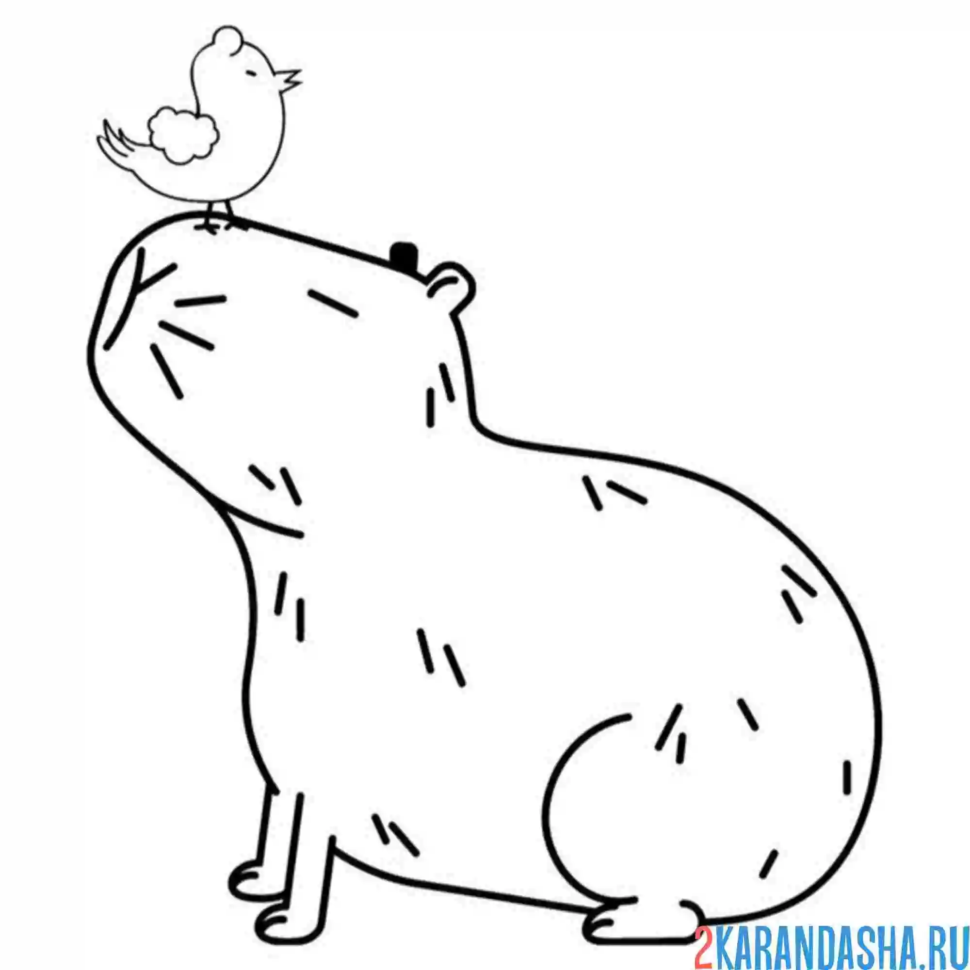 Раскраска капибара и птичка