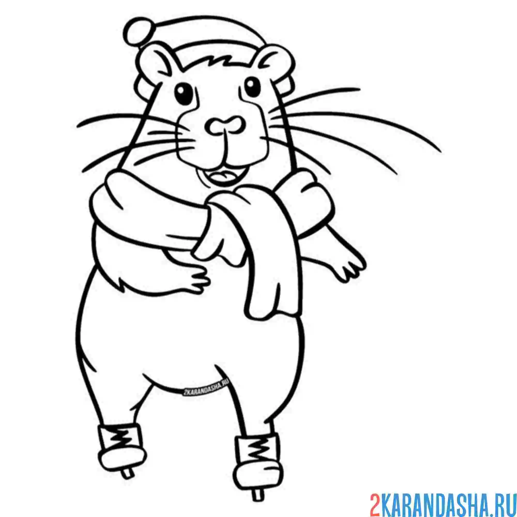 Раскраска капибара катается на коньках