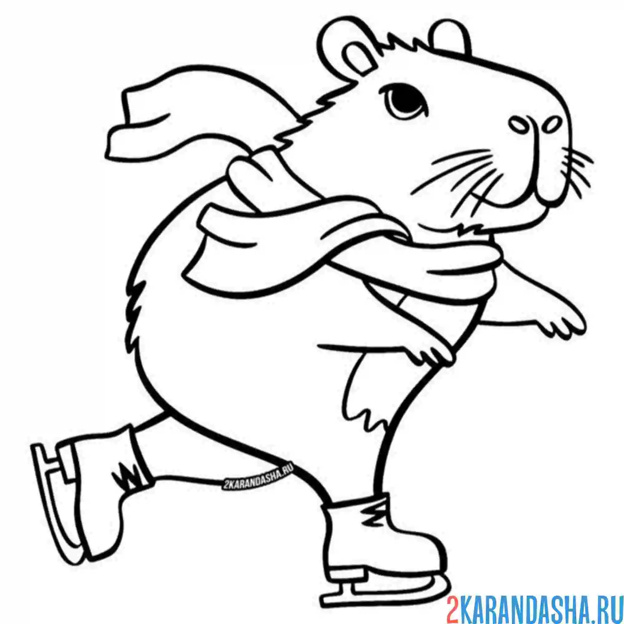 Раскраска капибара на коньках