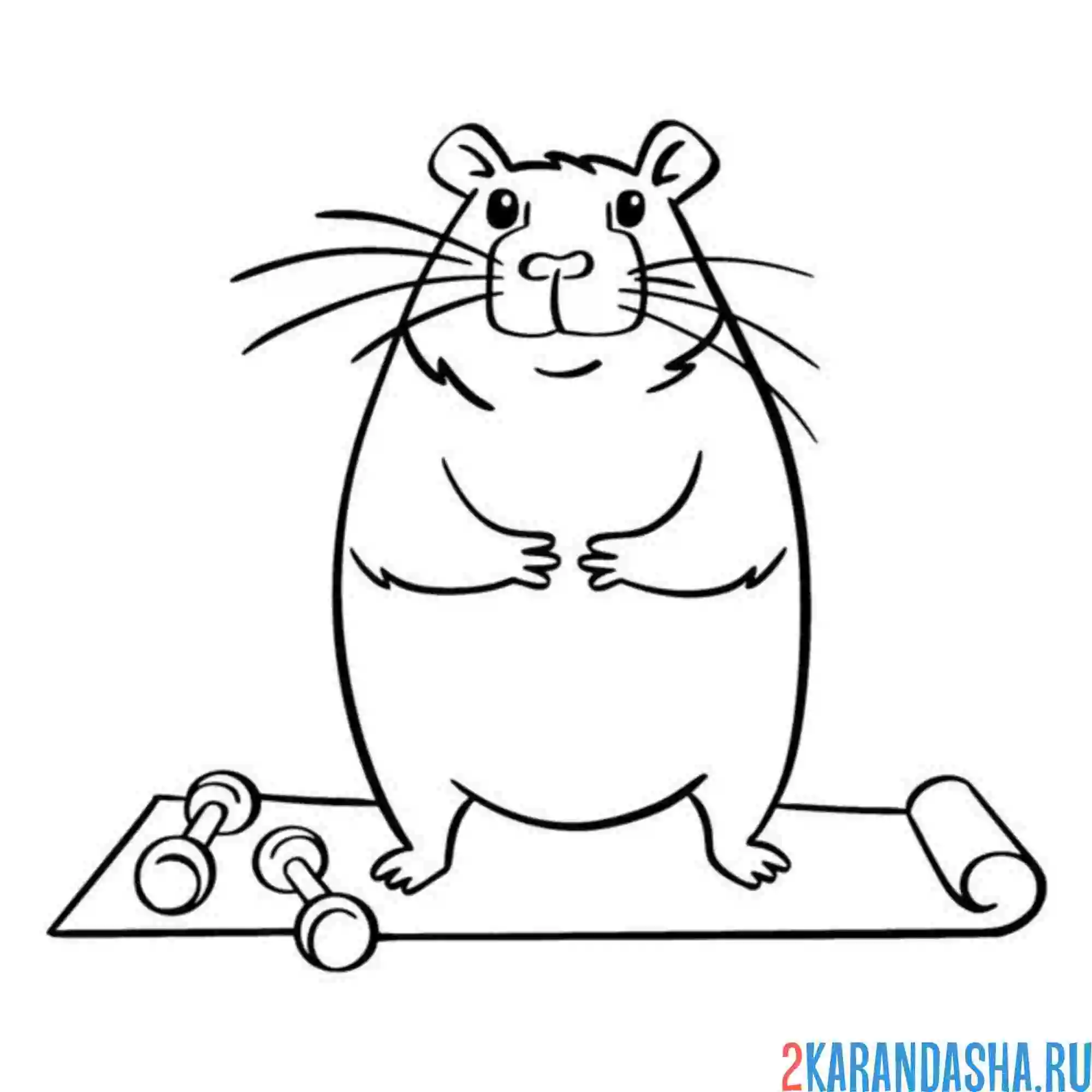 Раскраска капибара гантели