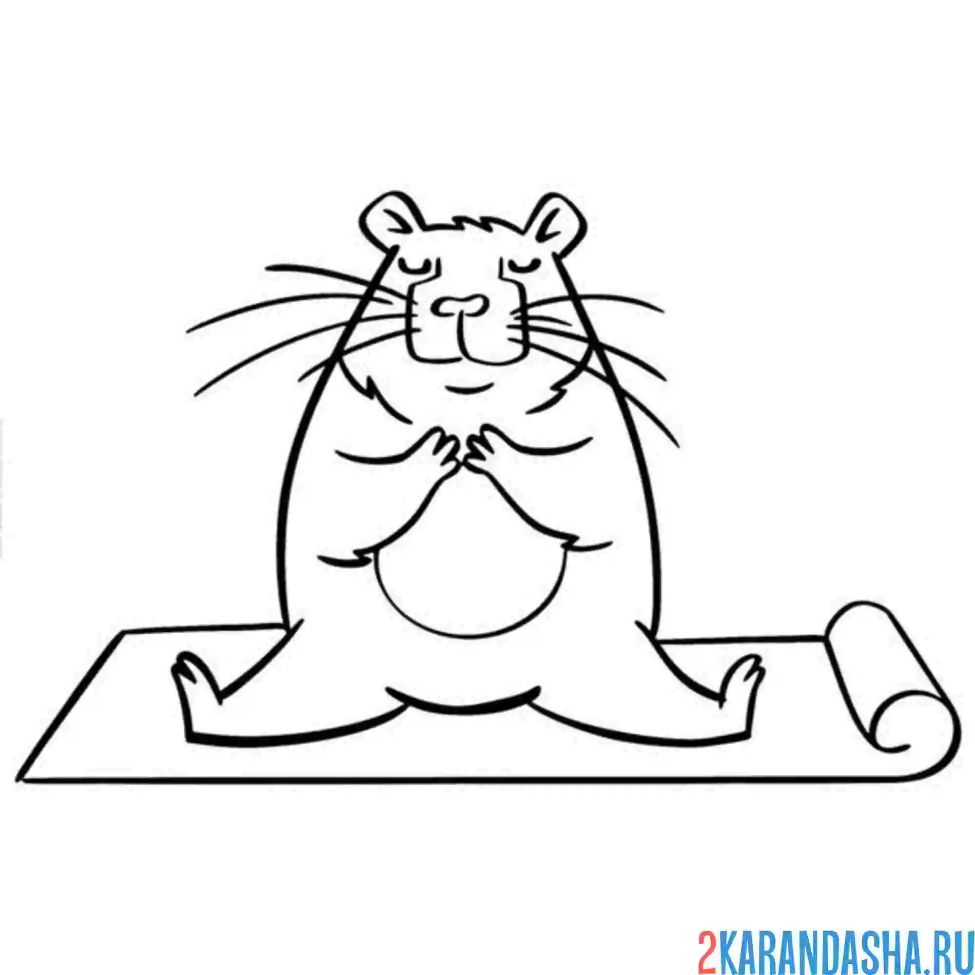 Раскраска капибара шпагат