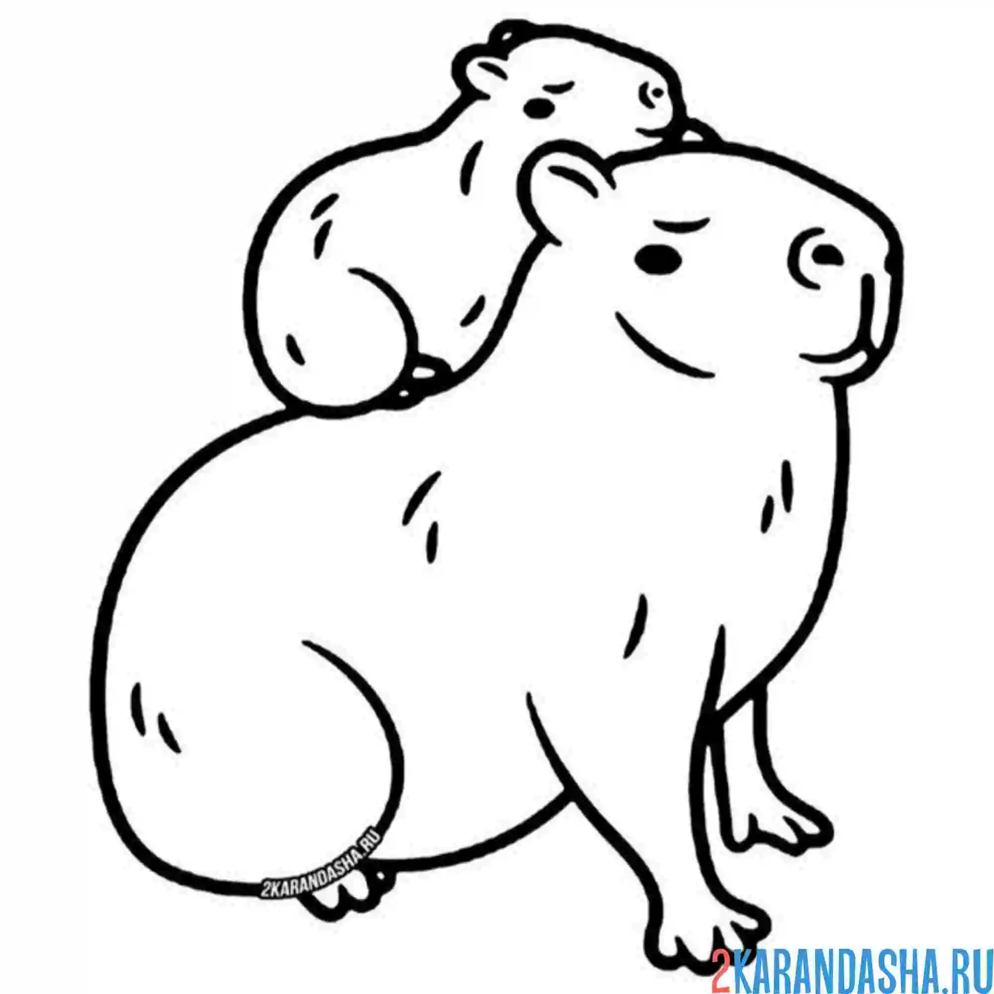 Раскраска капибара с малышом