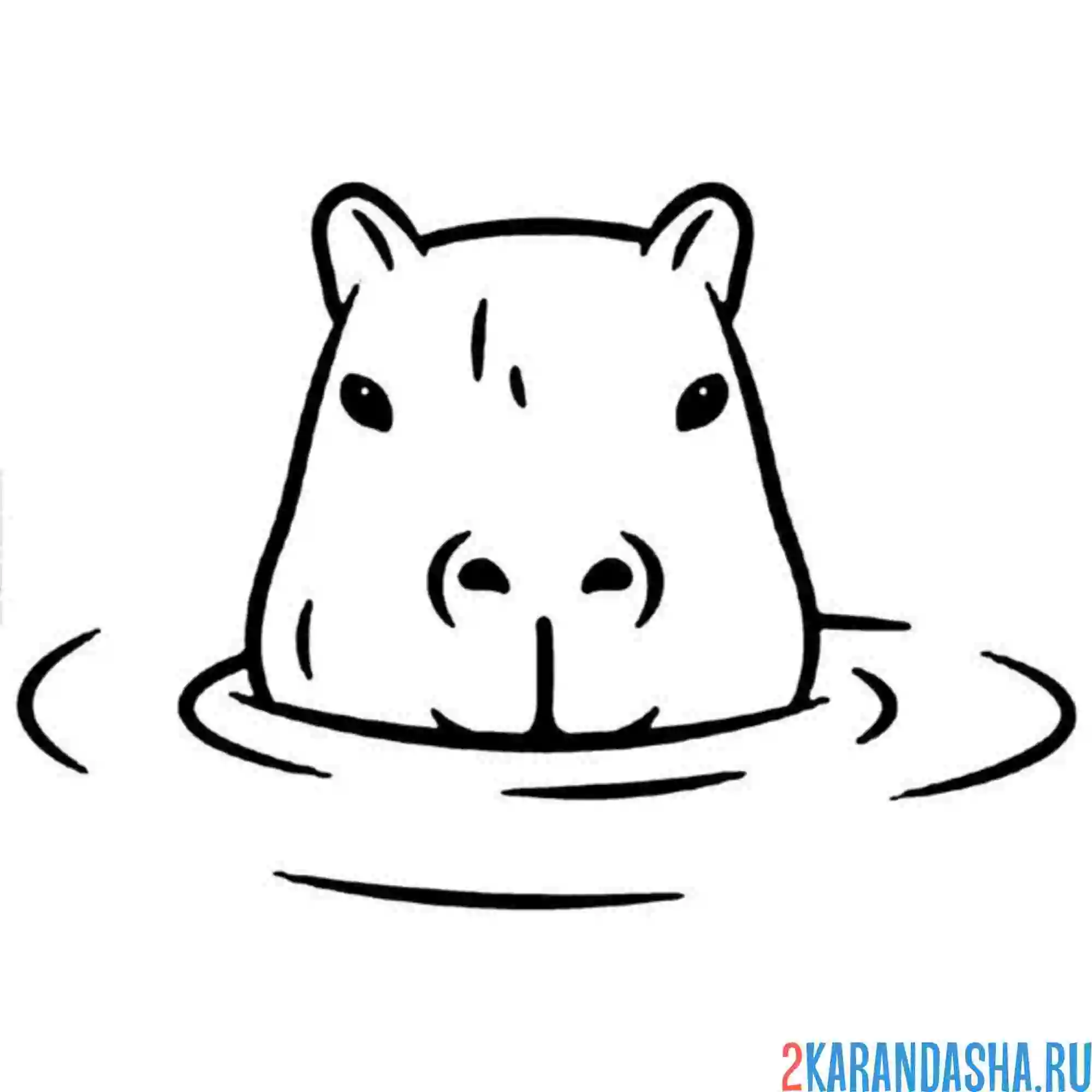 Раскраска капибара подглядывает