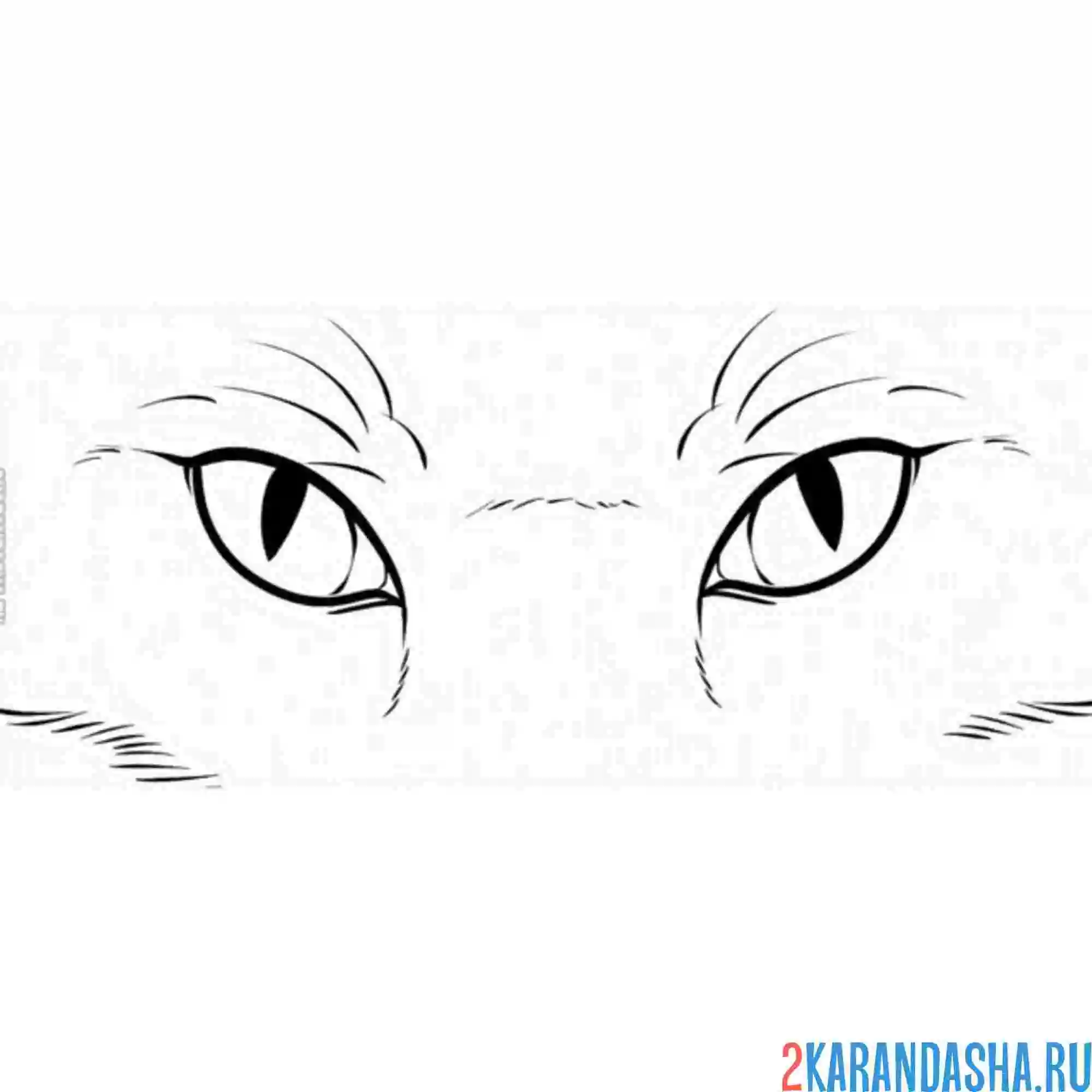 Раскраска глаза кошки