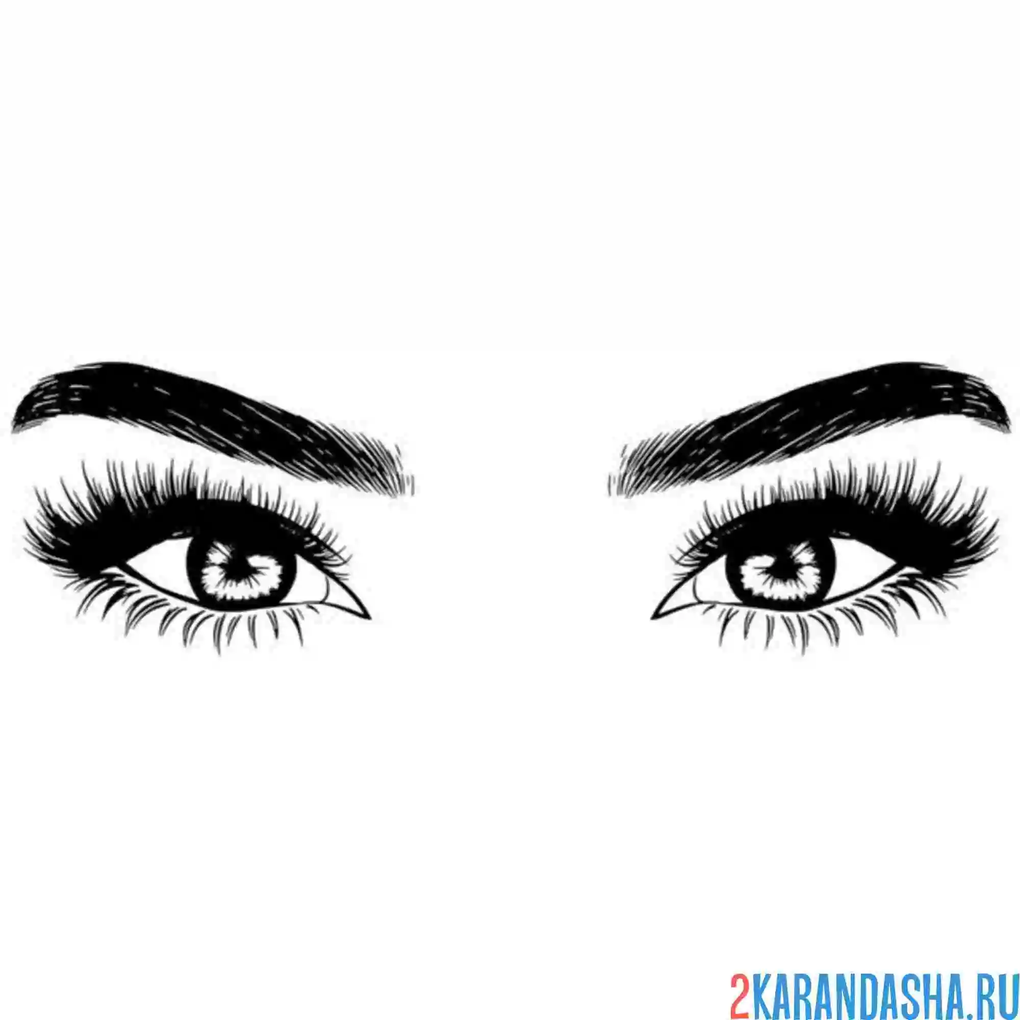 Раскраска глаза и брови