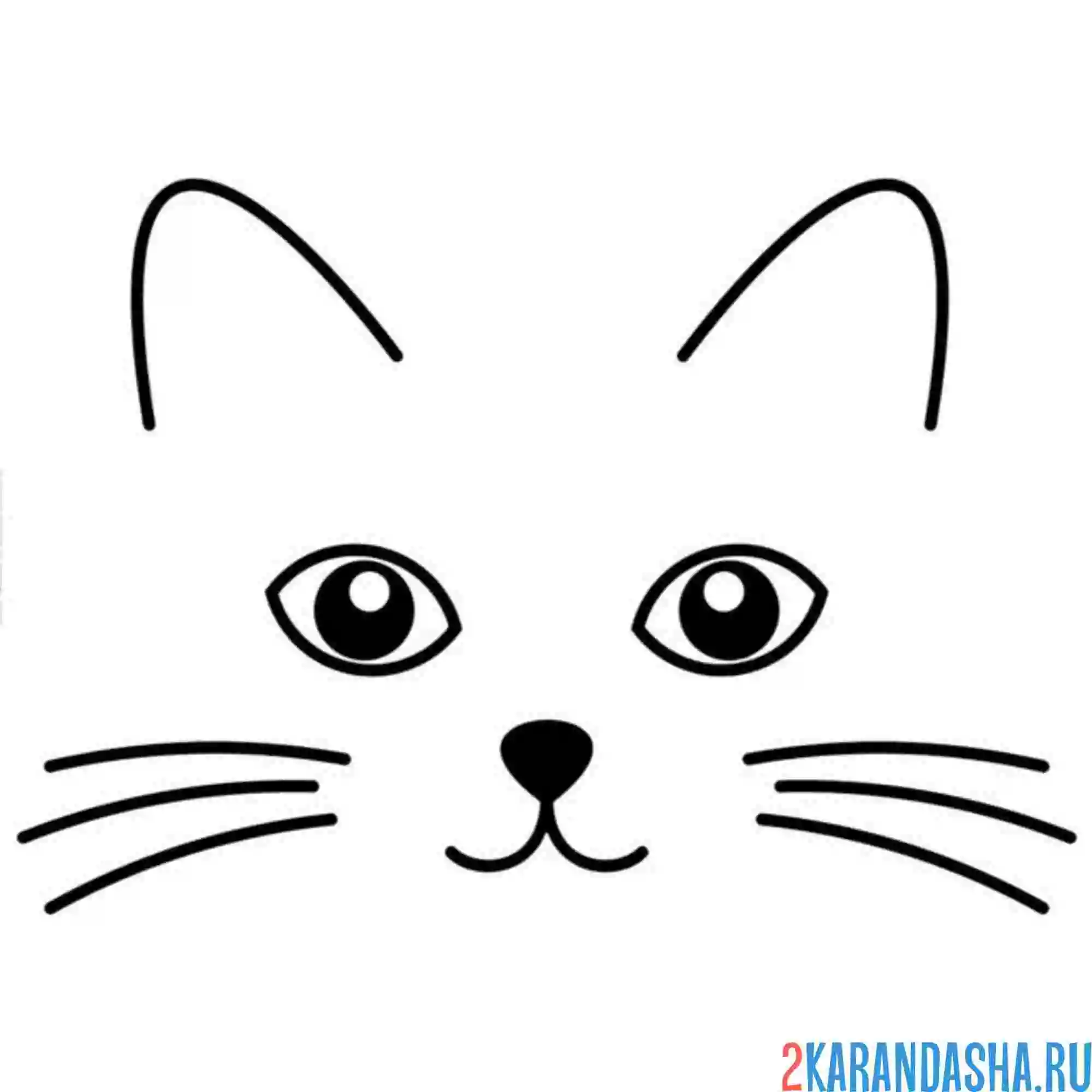 Раскраска глаза кошечки