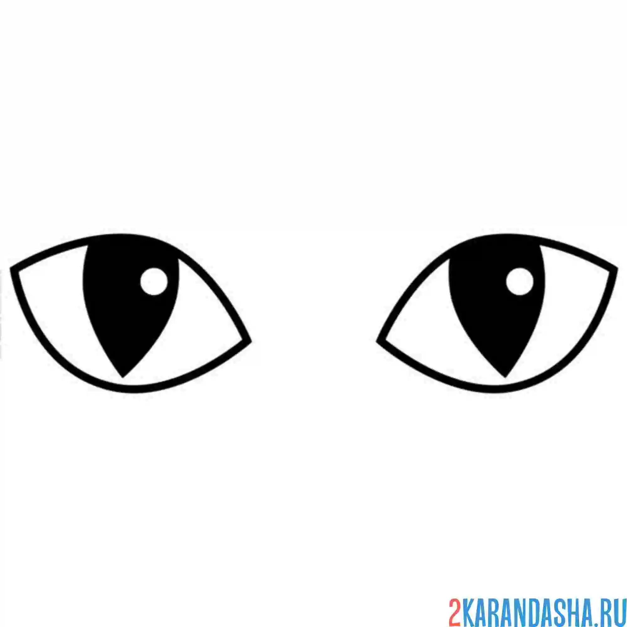 Раскраска кошка глаза