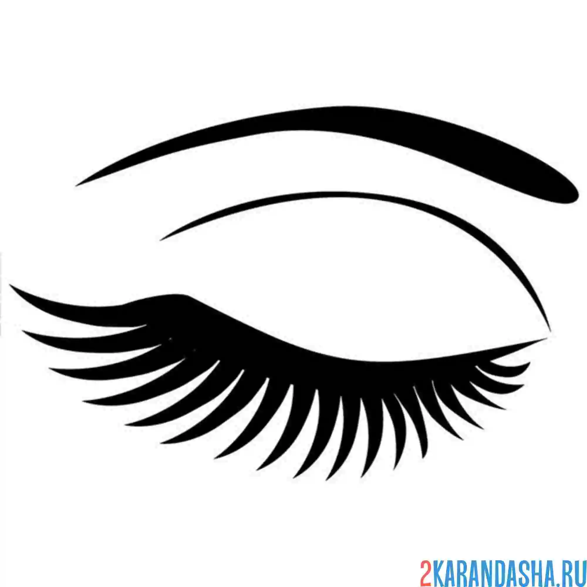 Раскраска ресницы и глаз