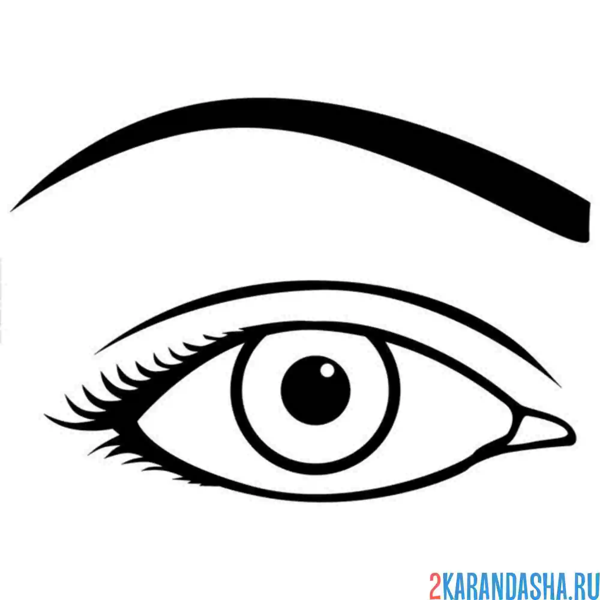 Раскраска глаз с короткими ресницами