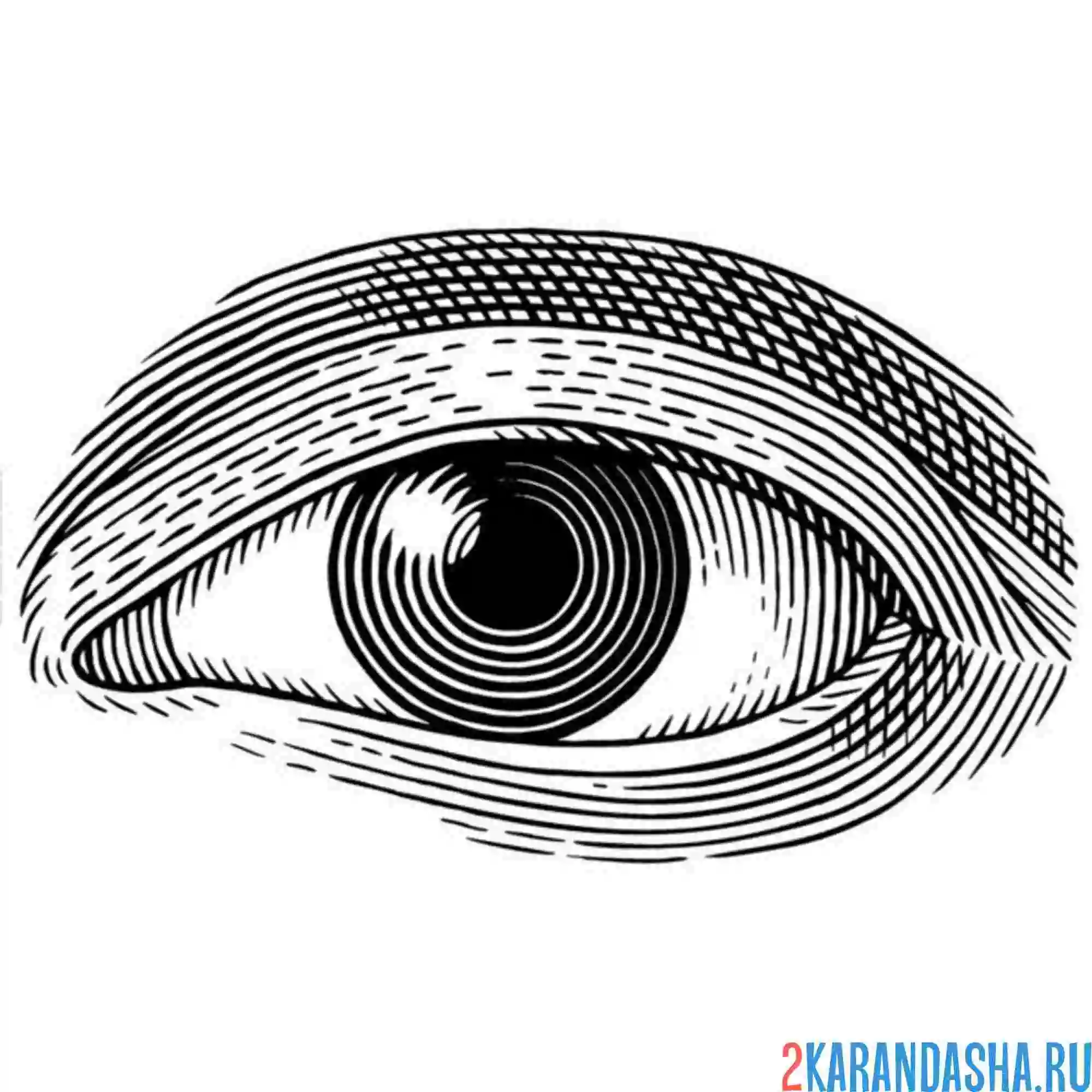 Раскраска глаз без ресниц