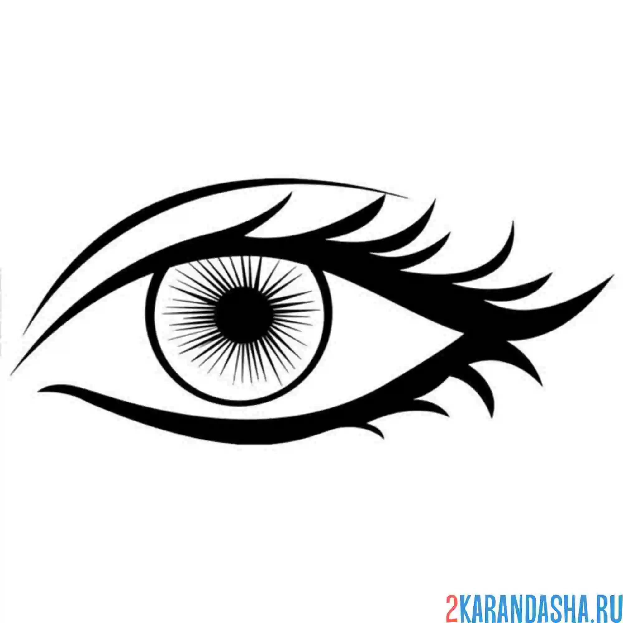 Раскраска глаз контур