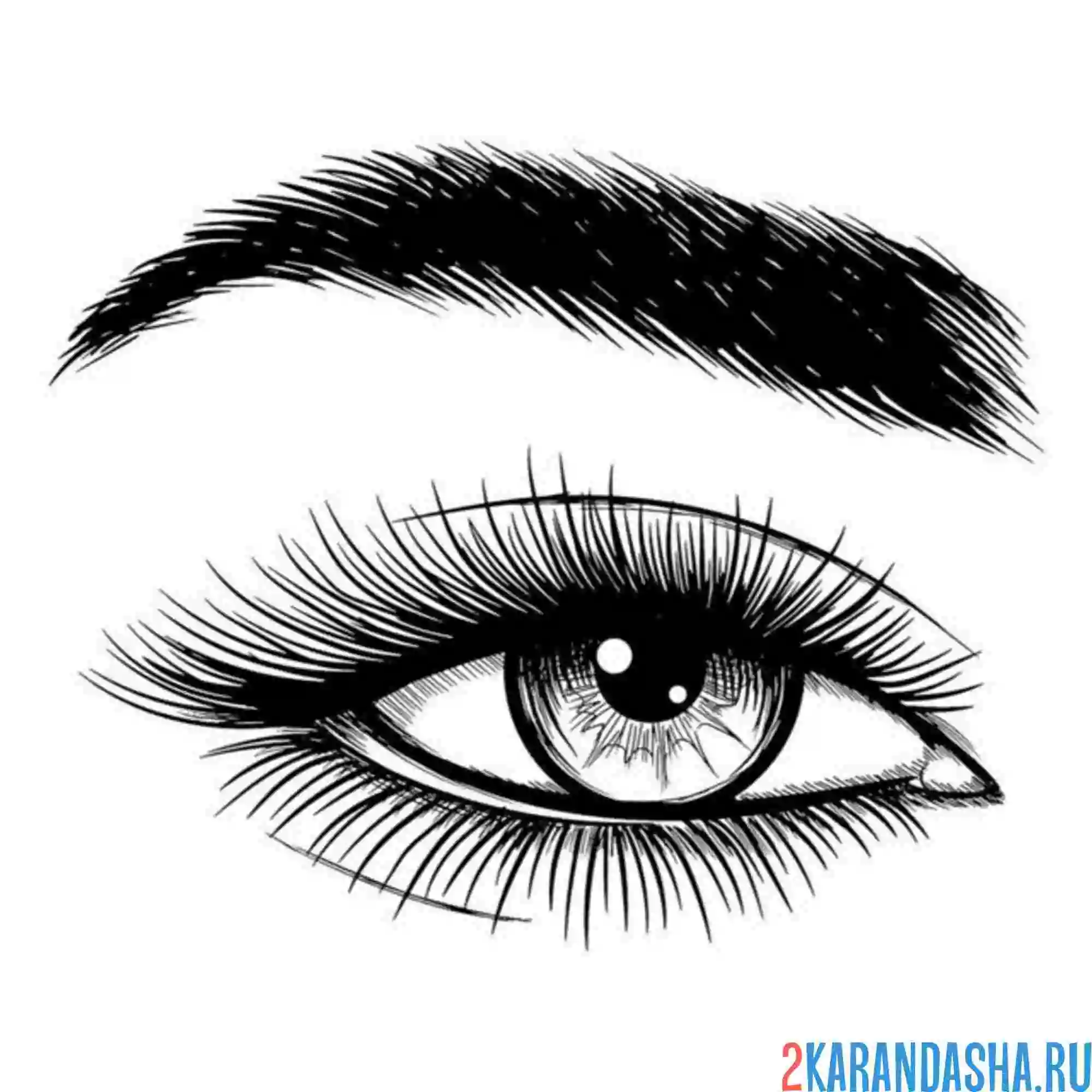 Раскраска глаз и густые  брови