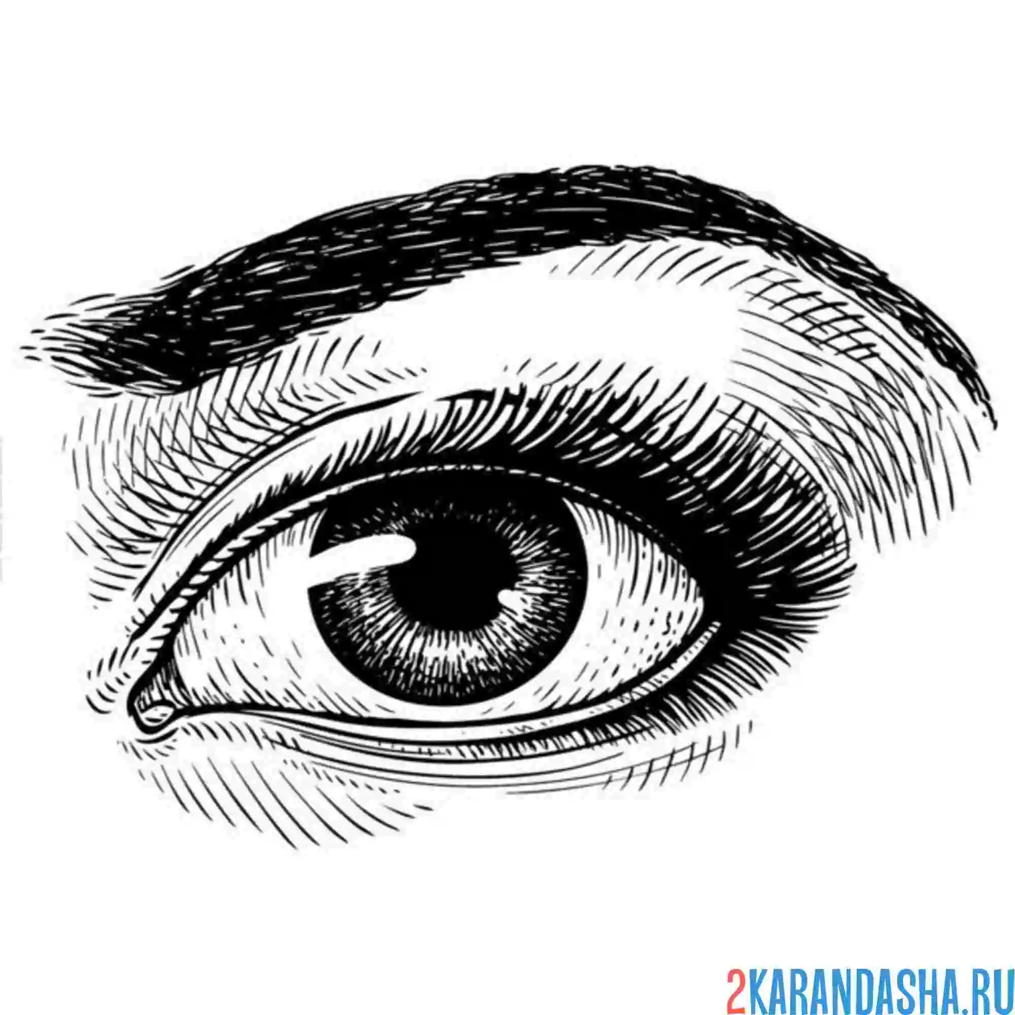 Раскраска иллюстрация глаз