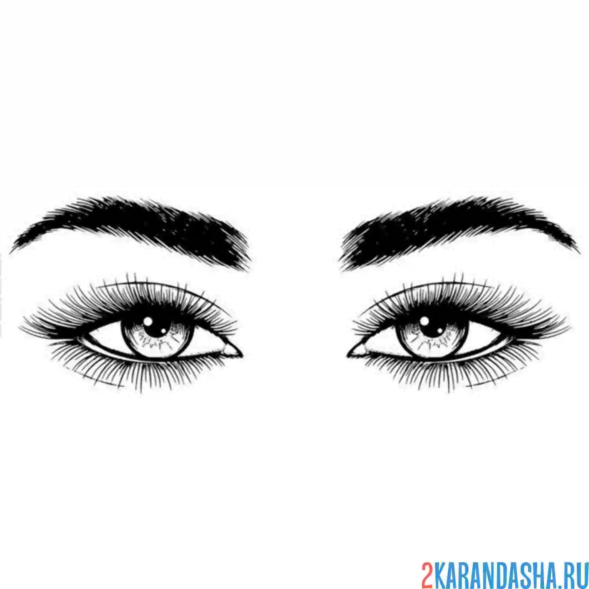 Раскраска глаза и густые брови