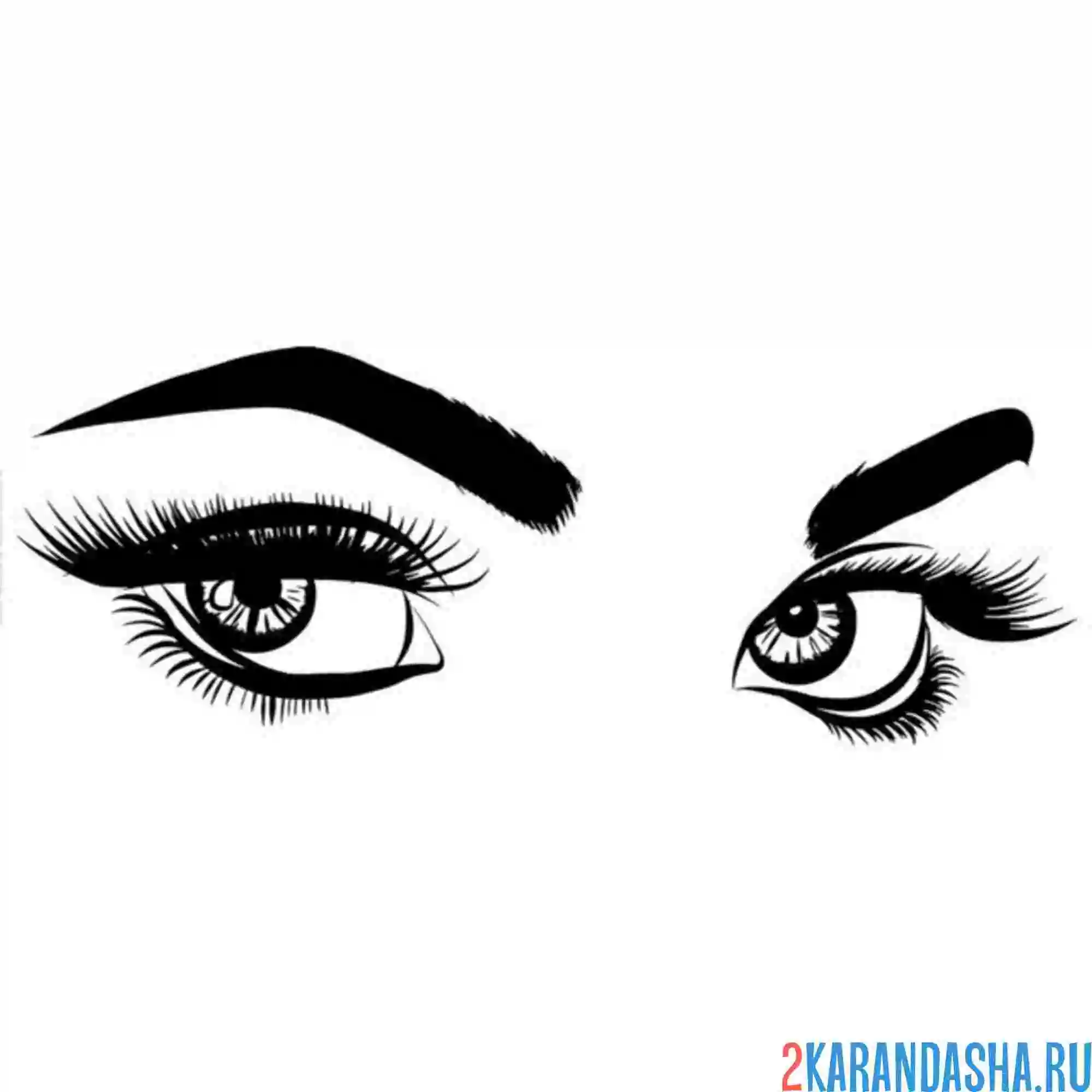 Раскраска суровый взгляд глаза