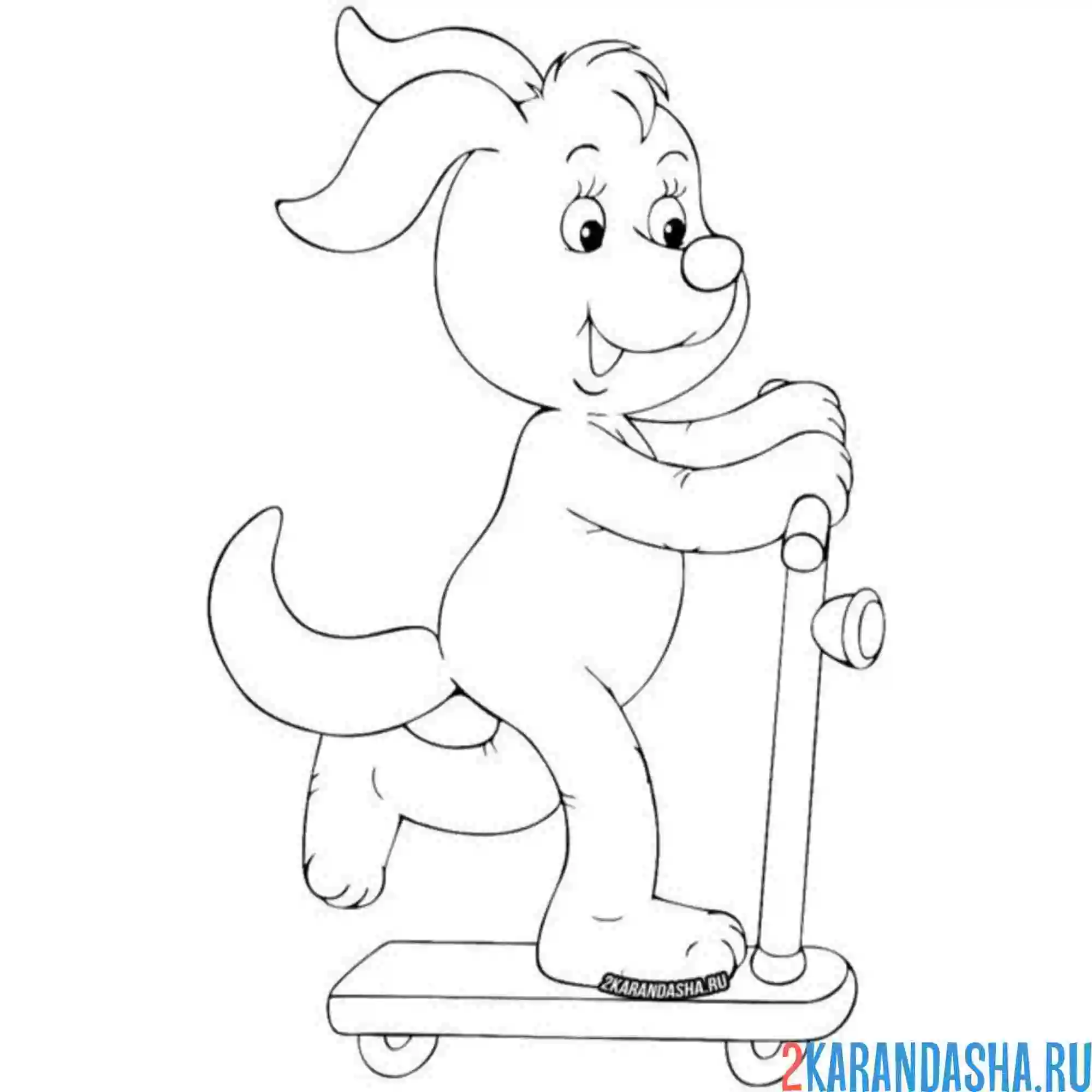 Раскраска песик на самокате