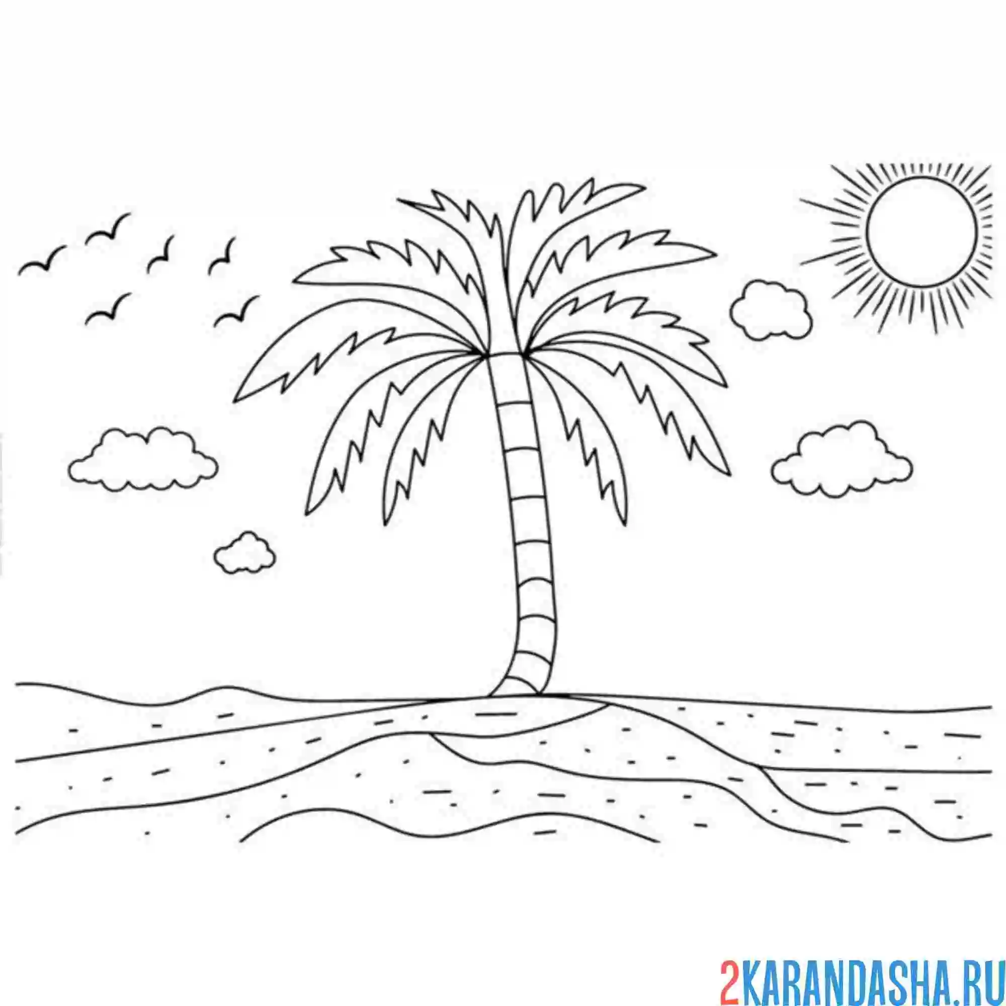 Раскраска пальма одинокая волна