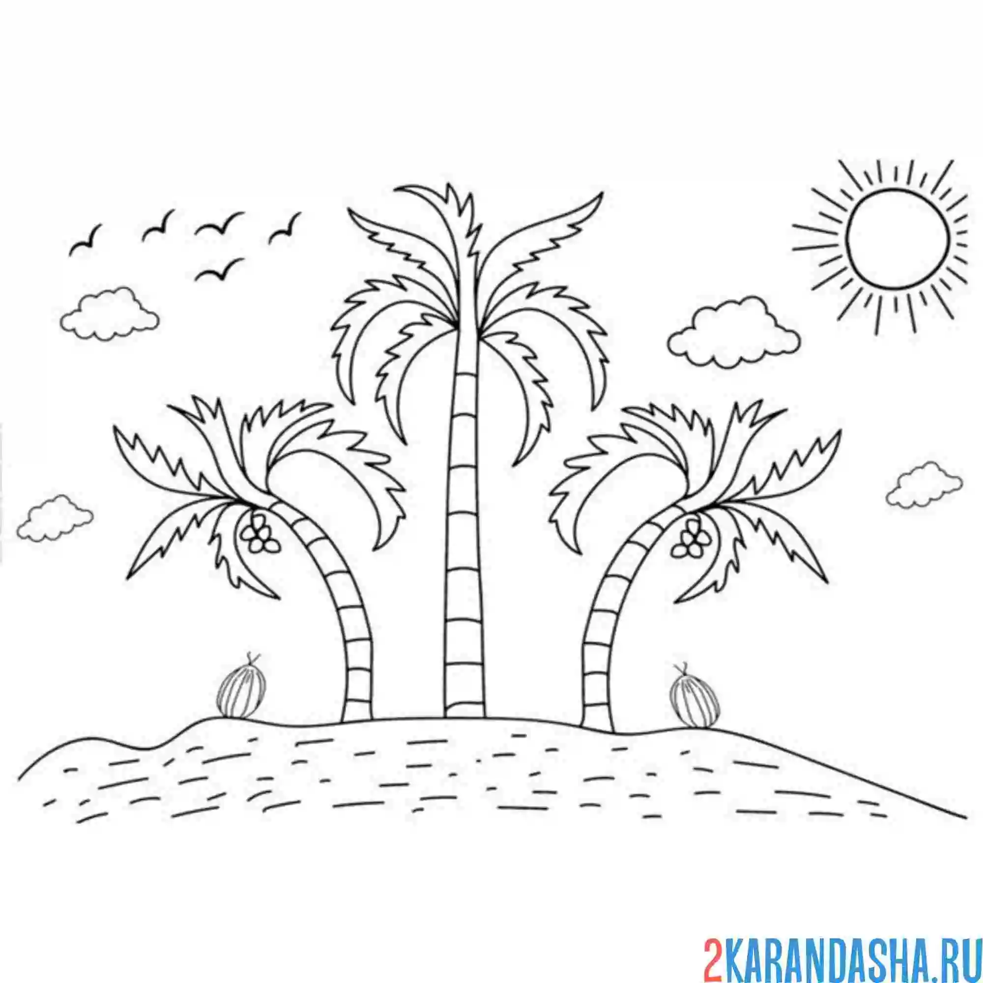 Раскраска три пальмы и остров