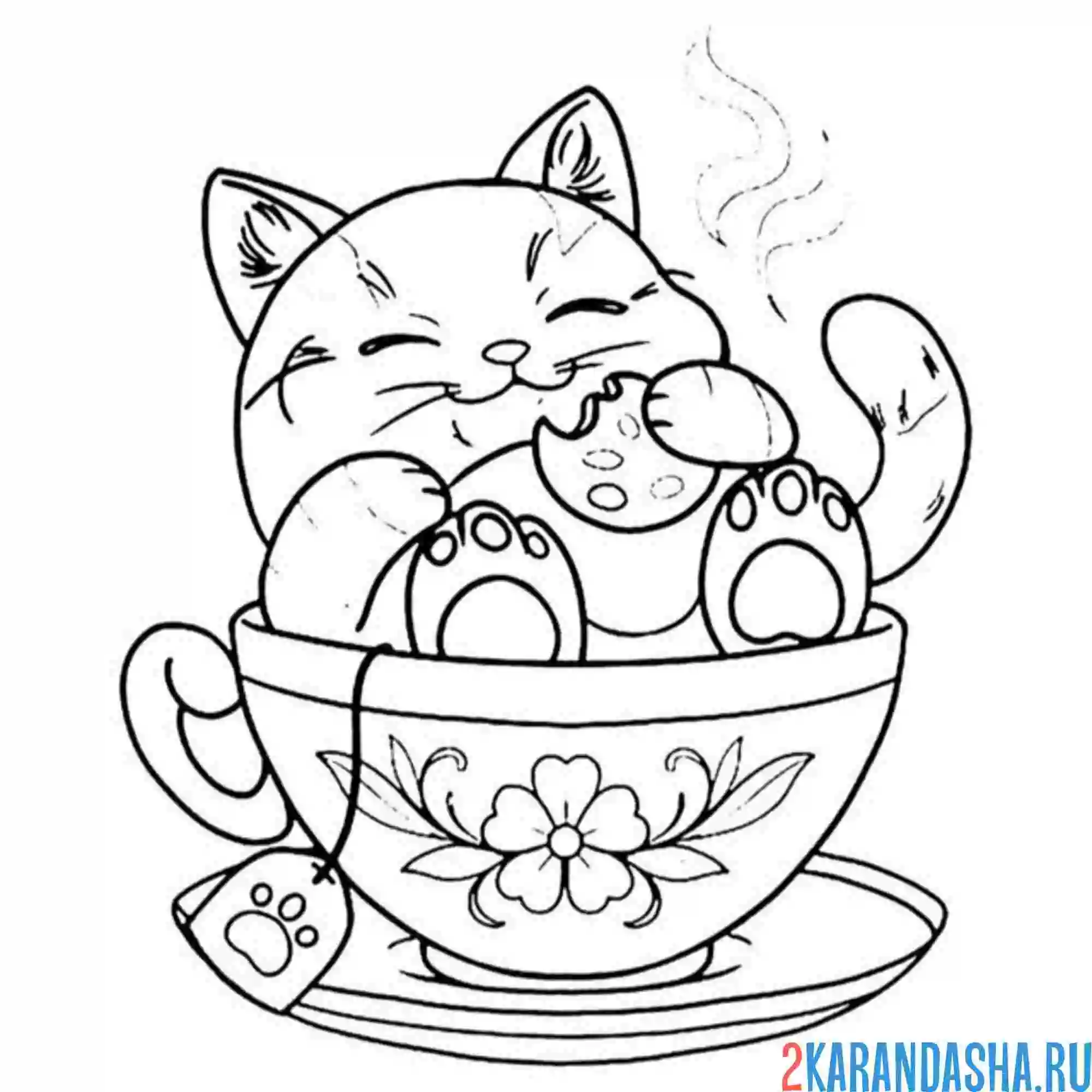 Раскраска котик ест печенку