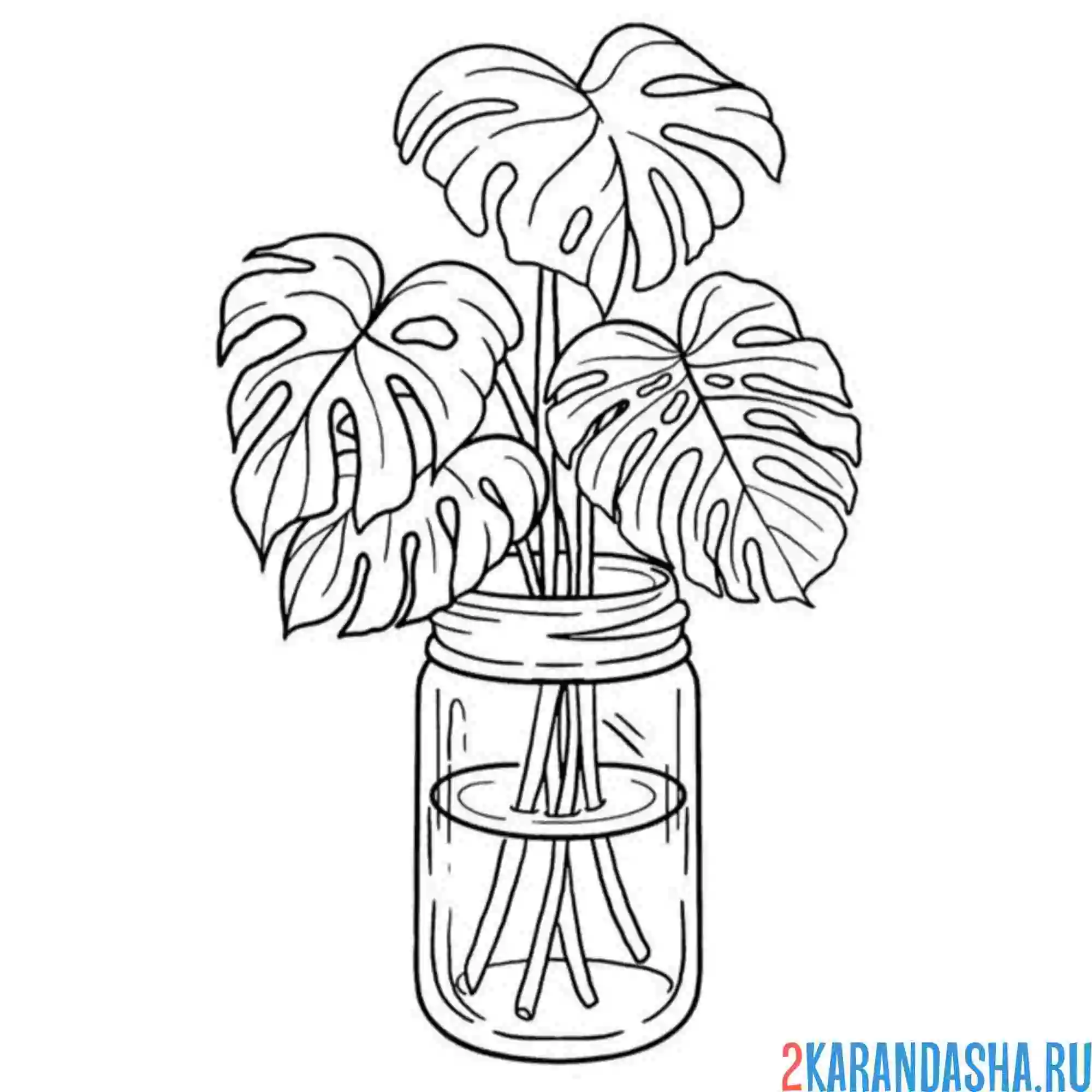 Раскраска эстетика листья в вазе